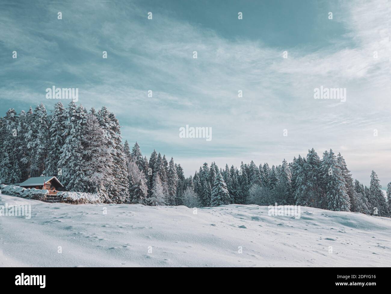 Una splendida scena alpina. Uno chalet alpino è coperto di neve dopo una fresca caduta di neve e immerso in una foresta innevata in questo splendido scenario invernale. Foto Stock