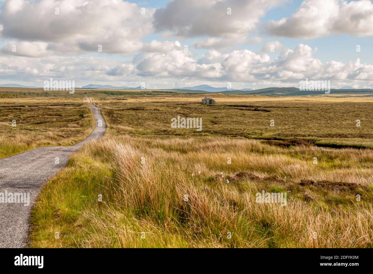 Un solone che brilla vicino alla Pentland Road sui peatbed dell'Isola di Lewis nelle Ebridi esterne. Foto Stock