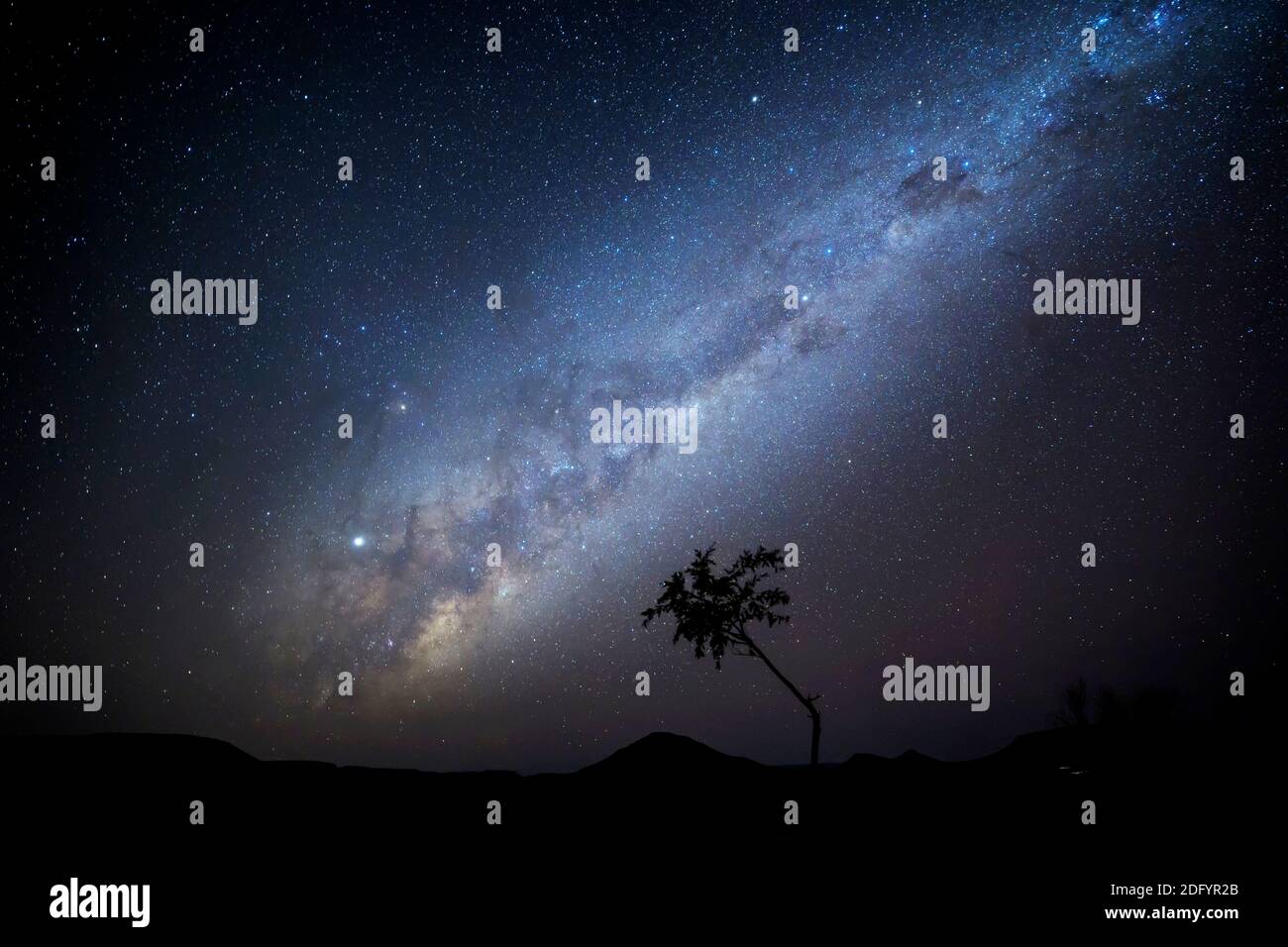 Via Lattea sull'albero nel deserto della Namibia, Damaraland, Namibia. Foto Stock
