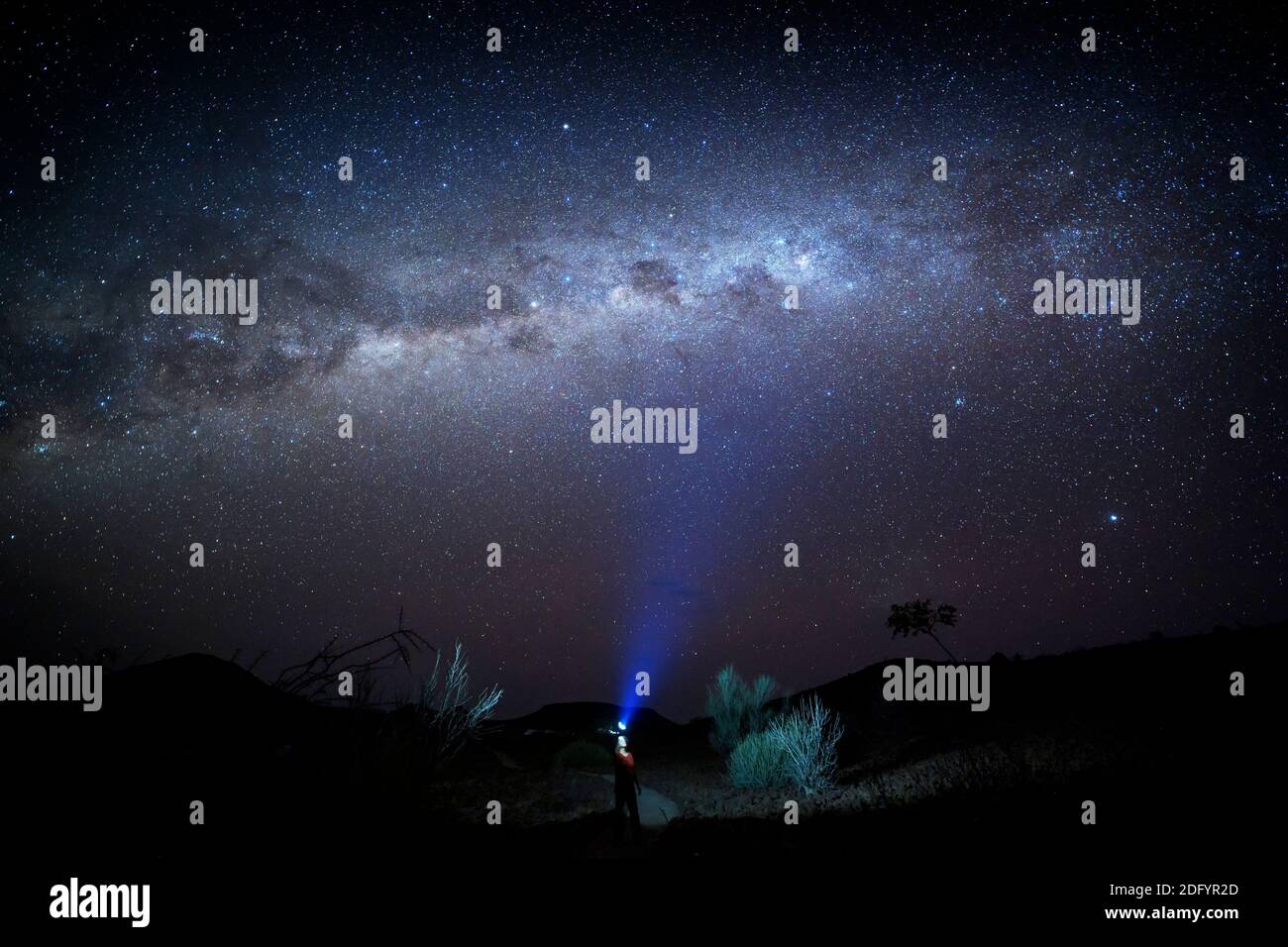 Persona con torcia leggera che guarda la via lattea nel deserto della Namibia, Damaraland, Namibia. Foto Stock