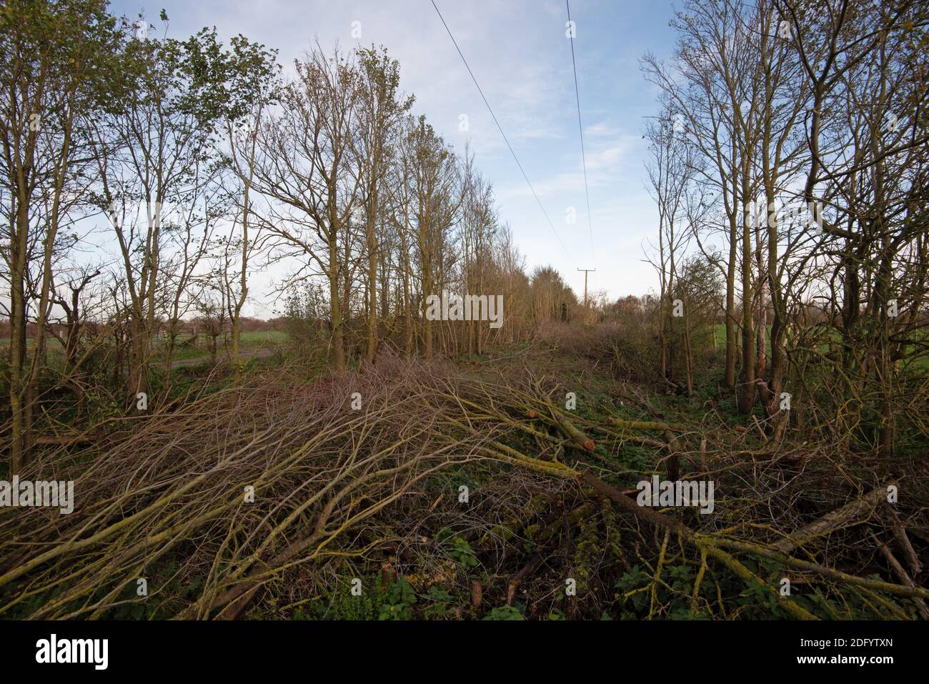 M25 Colne Valley zona di servizio autostrada Sito proposto, Iver Heath, Bucks - applicazione di pianificazione PL/20/4332/OA Foto Stock