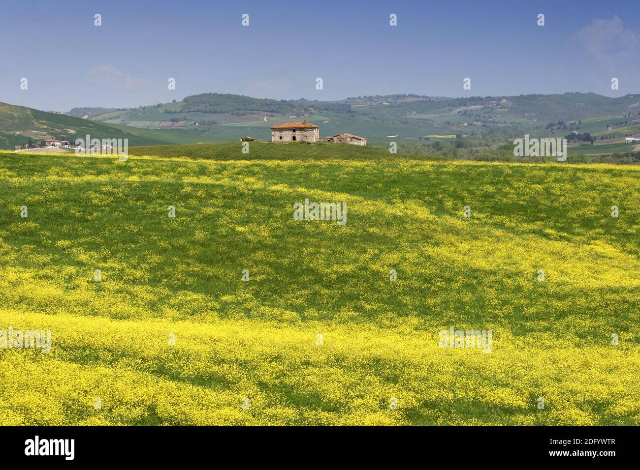 FR[hling in Toscana Foto Stock