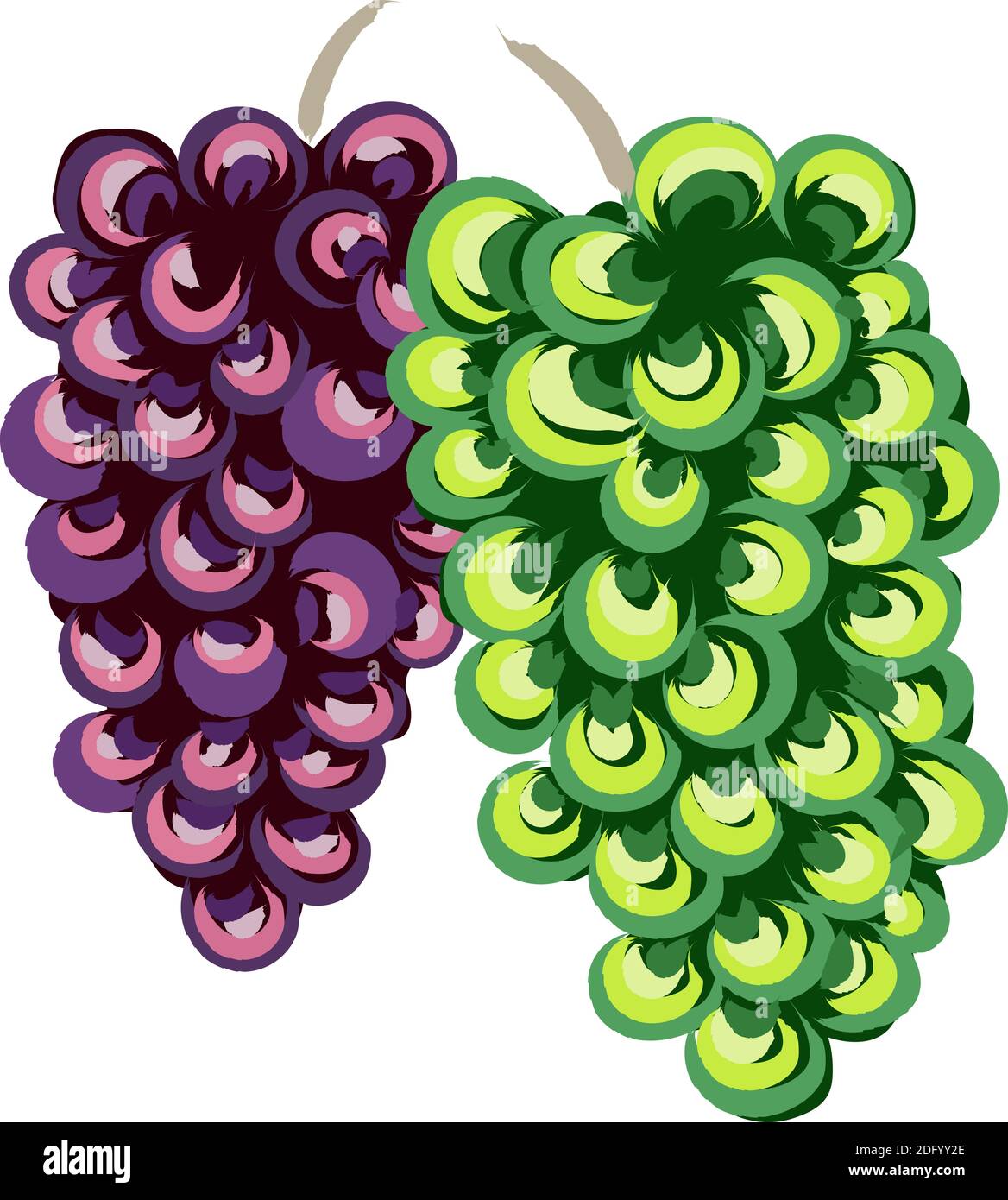 Composizione di grappoli d'uva bianchi e viola. Stile d'arte tradizionale. Vettore Illustrazione Vettoriale