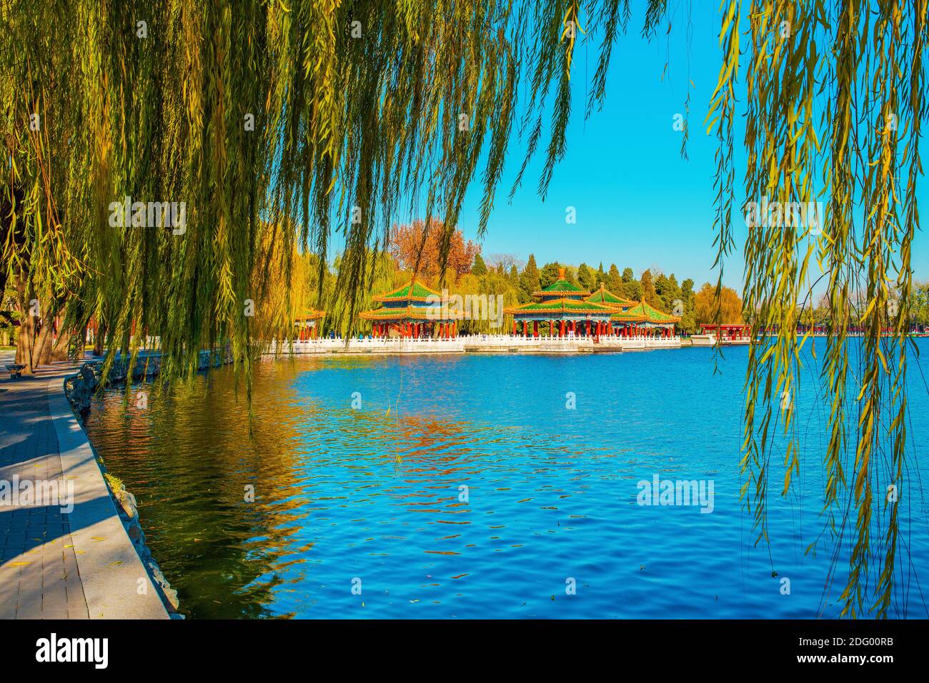 Splendida vista sul lago Beihai. Splendido paesaggio autunnale nel Parco Beihai. Asia, Cina, Pechino. Giorno di sole, cielo blu chiaro. Calda serata d'autunno. Foto Stock