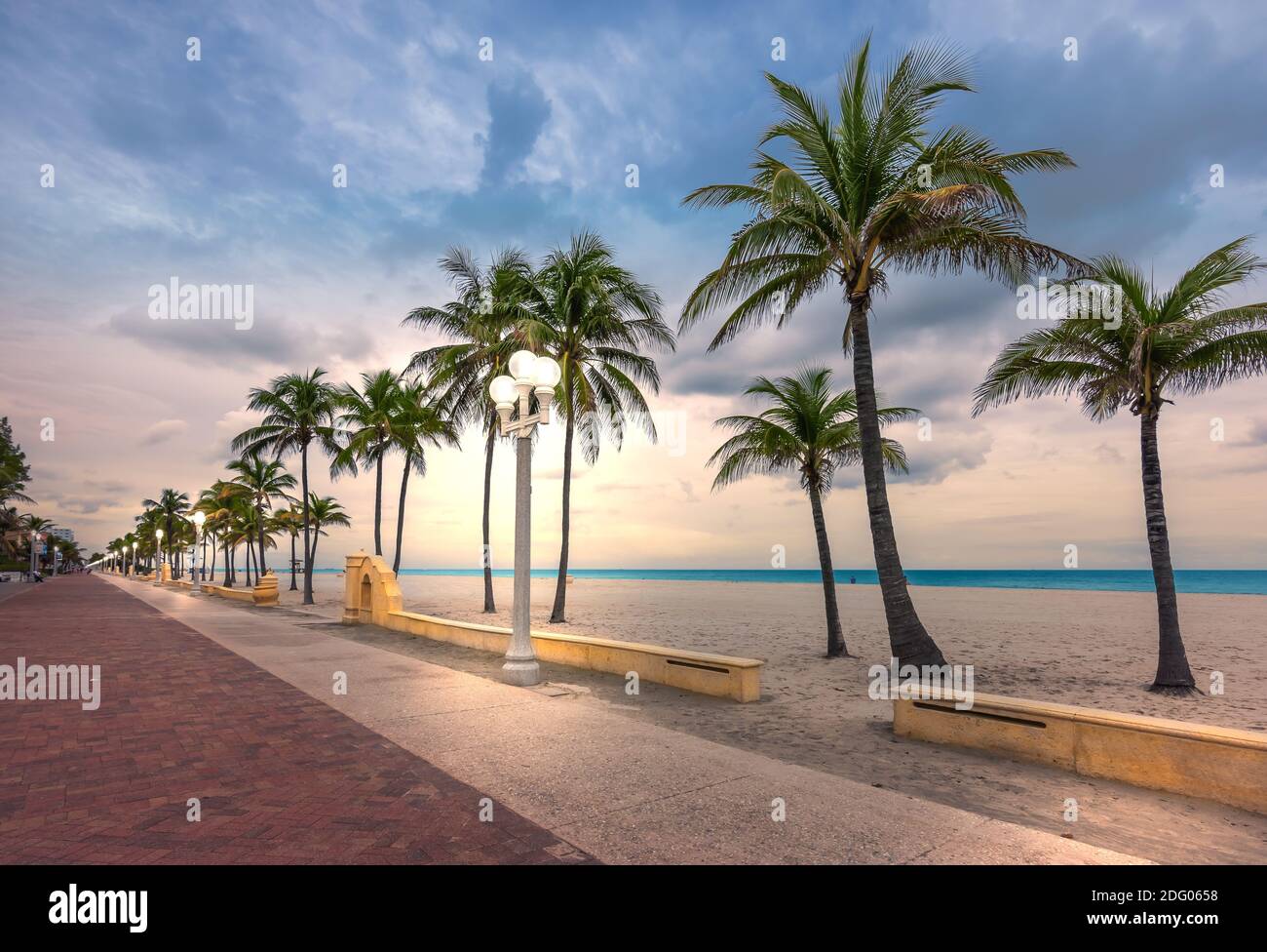 Hollywood Beach, Florida. Palme da cocco sulla spiaggia e luci di strada illuminate sul lungomare al tramonto. Foto Stock