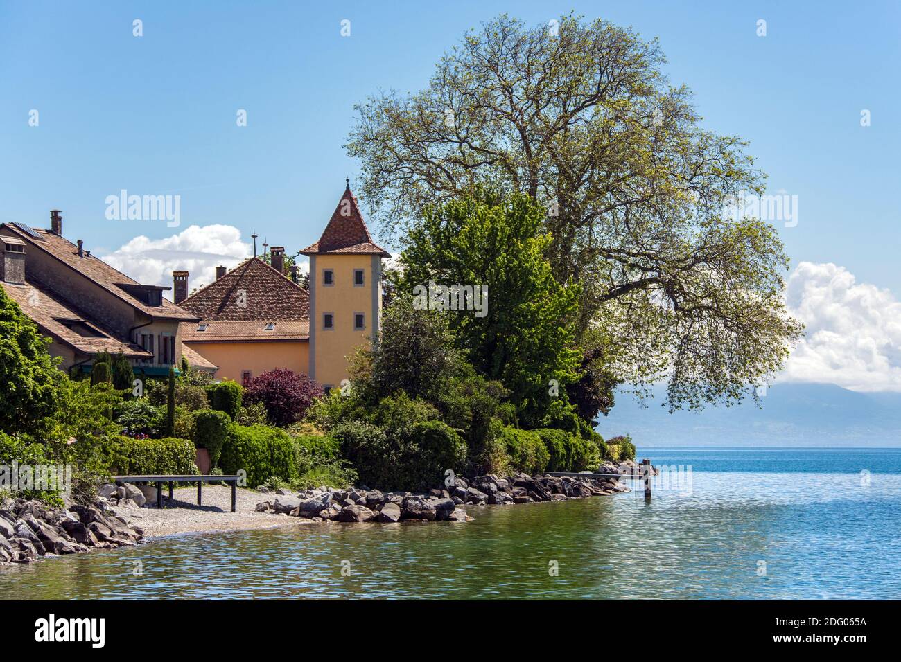 Il litorale vicino alla città di Morges, sulla sponda nord del lago di Ginevra, nel cantone di Vaud, in Svizzera. Foto Stock