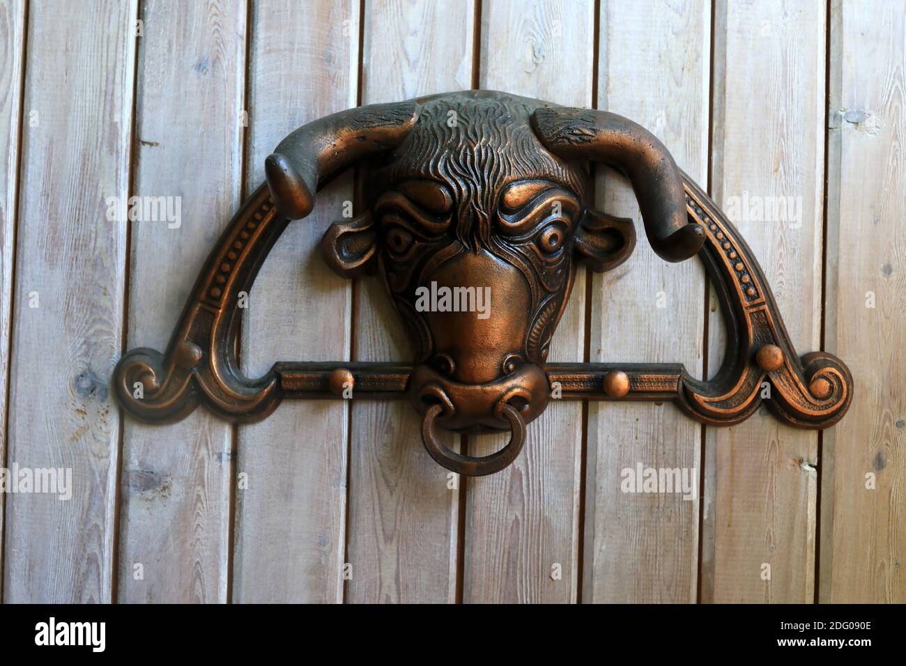 Maniglia della porta sotto forma di toro Foto Stock