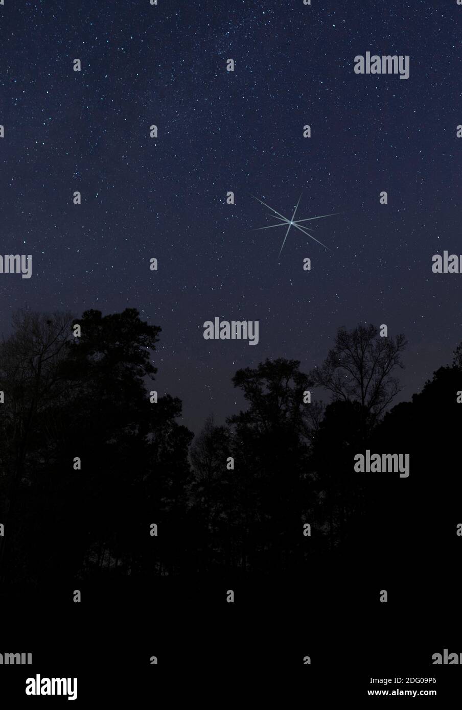 Una stella luminosa sopra alberi dalle silhouette vicino a Raeford, North Carolina Foto Stock
