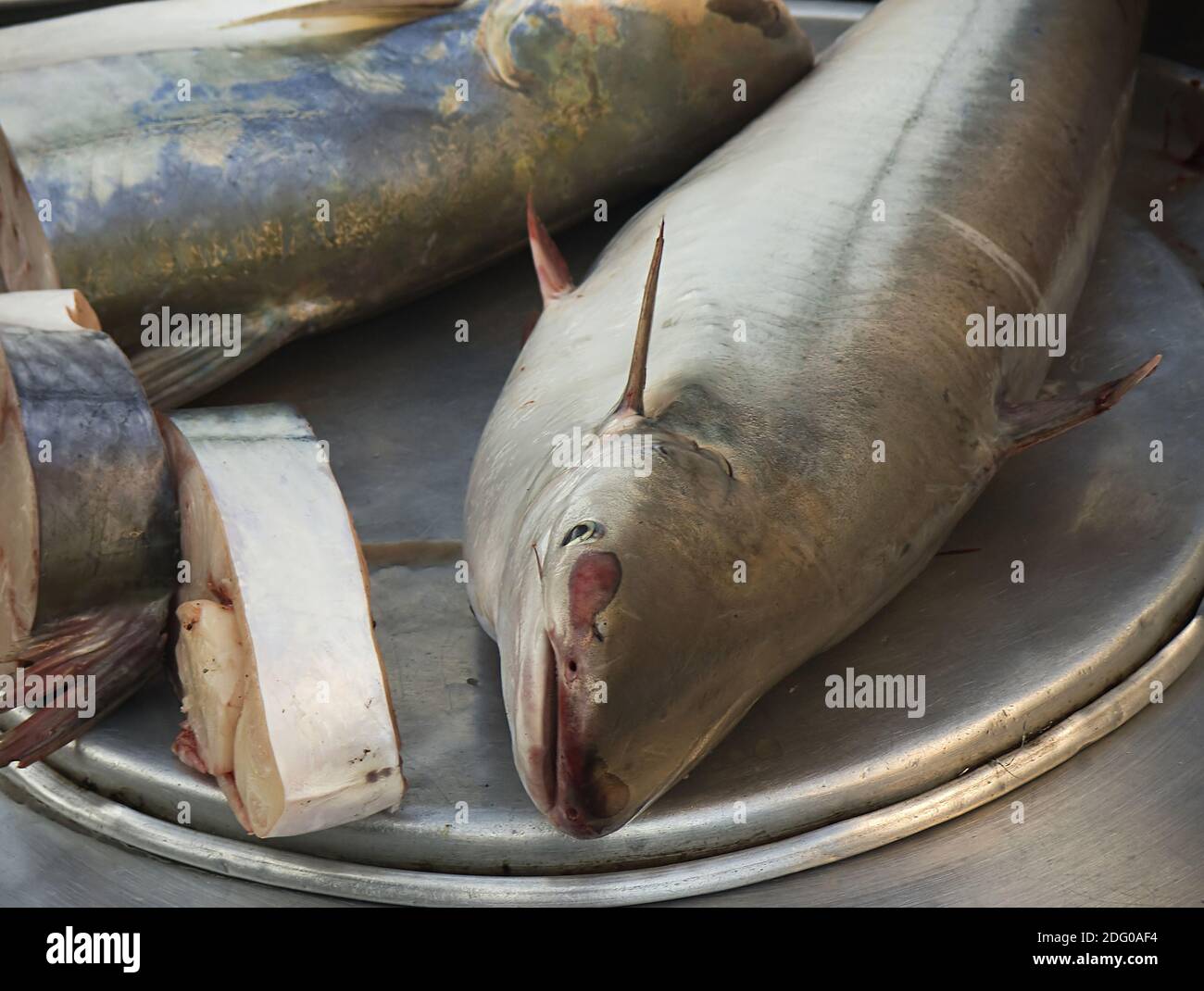 Pesce dal Mekong Foto Stock
