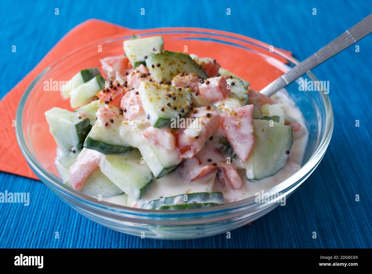 Gurken Tomaten Raita - pomodori cetrioli Raita Foto Stock
