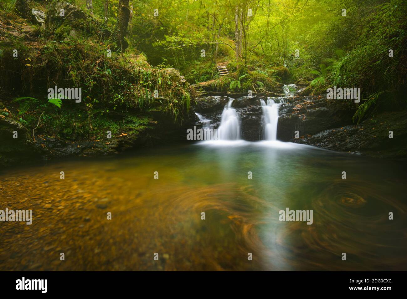 bella cascata di un fiume all'interno di una foresta in autunno con foglie in acqua e verde fogliame illuminato da il sole e le scale di legno nella ba Foto Stock