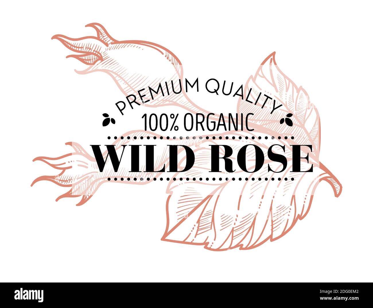 Wild Rose premium qualità 100% biologico Illustrazione Vettoriale