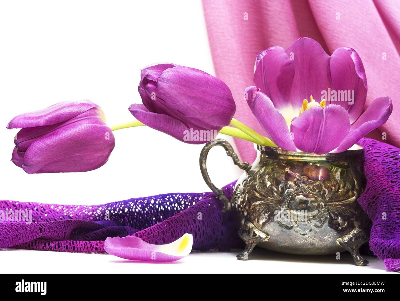 Fiori viola in vaso con tessuto Foto Stock