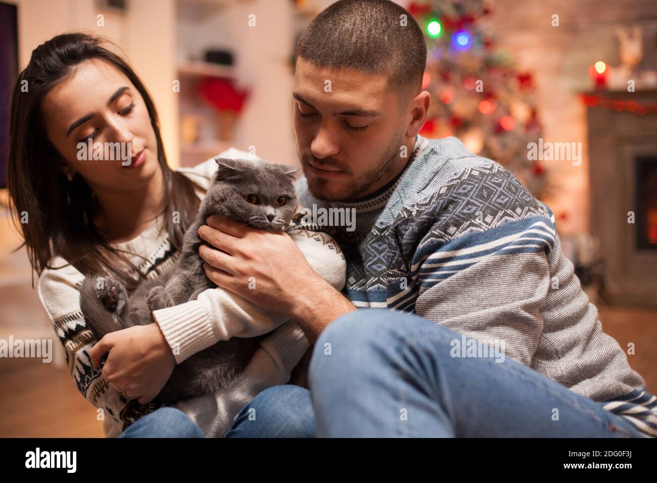 Coppia allegra che gioca con il loro gatto il giorno di natale. Foto Stock