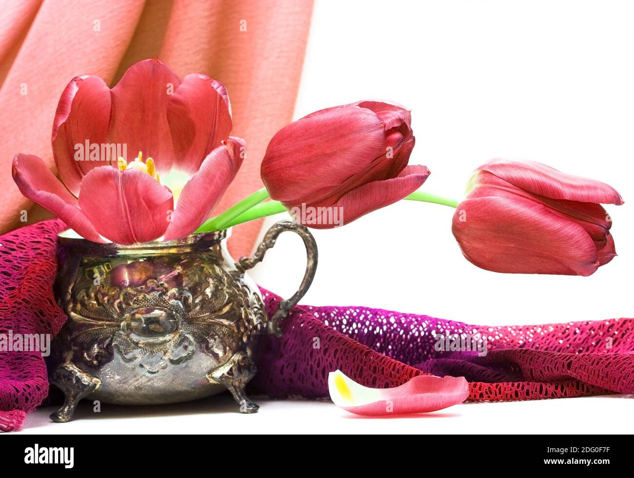 Fiori rossi in vaso con tessuto Foto Stock