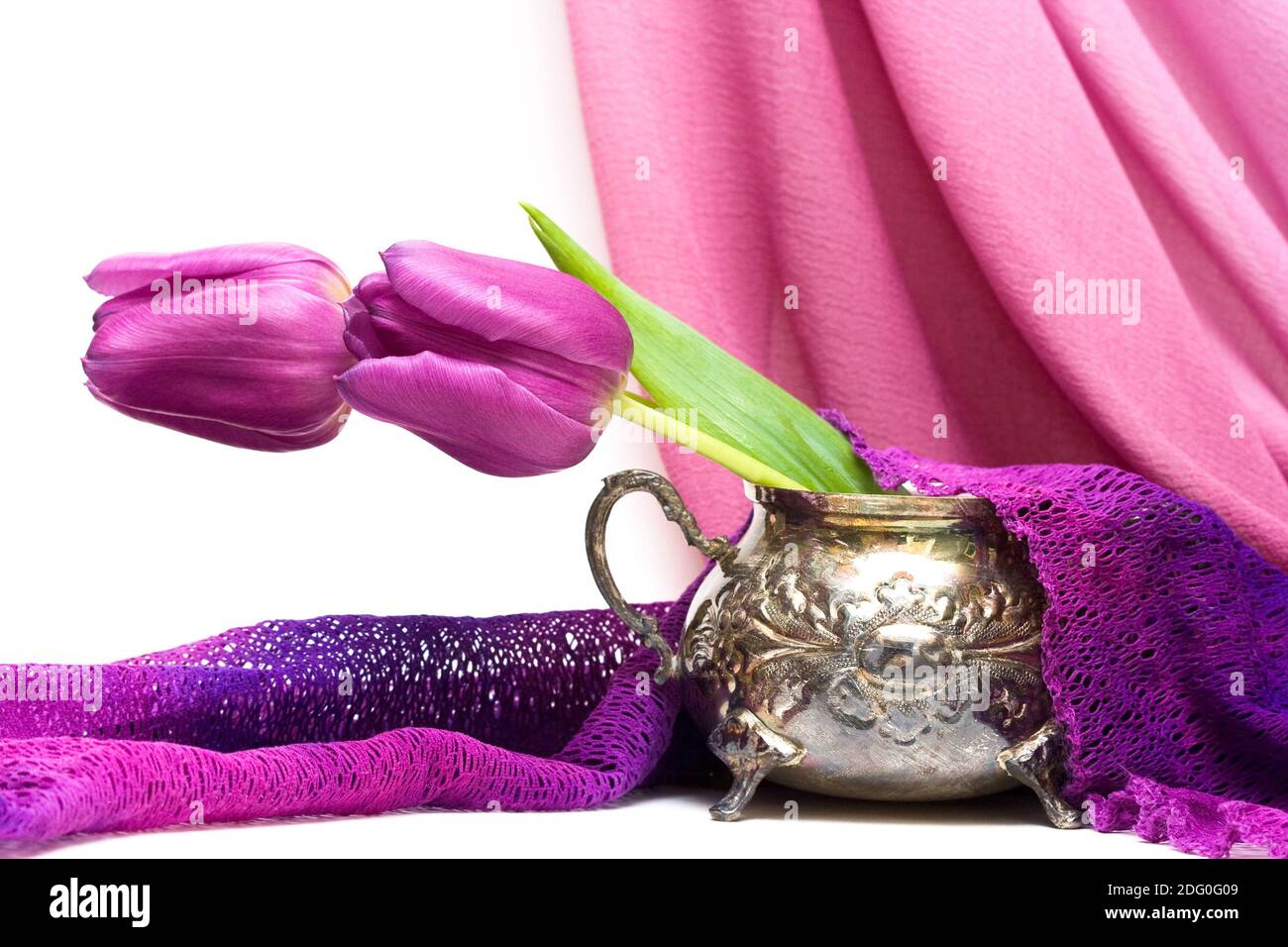Fiori viola in vaso con tessuto Foto Stock