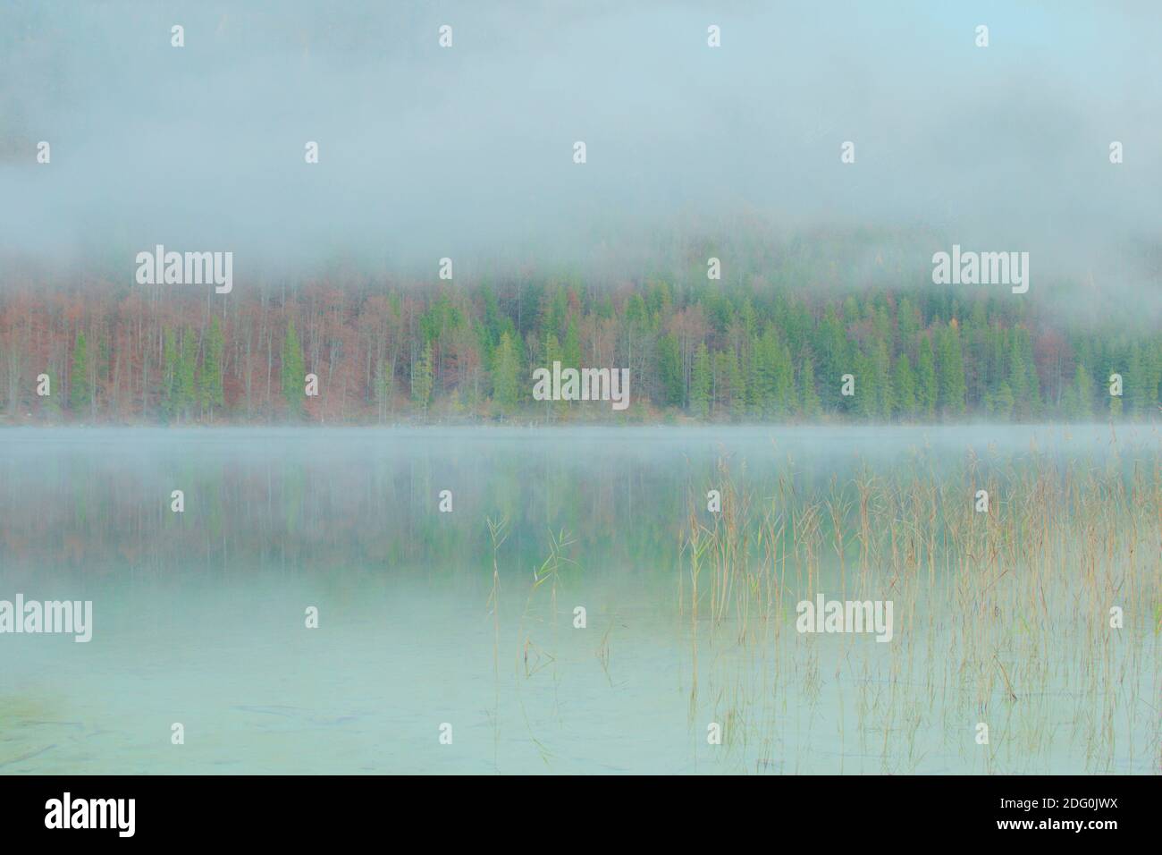 nebbia sul lago, vorderer langbathsee in alta austria Foto Stock