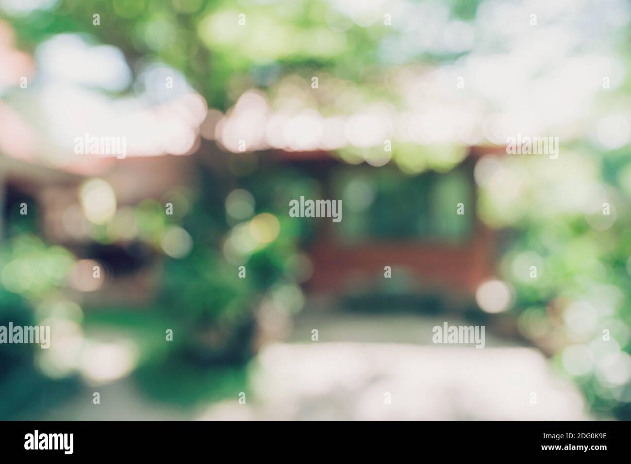 Bokeh sfocati e la sfocatura sullo sfondo di un giardino di alberi nella luce solare. Foto Stock