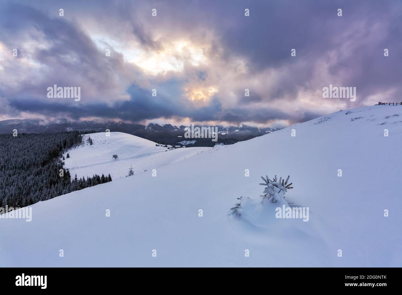 Mattina invernale fantastica. Paesaggio con campi, montagna, foresta e prato coperto di neve. Bellissima alba. Sfondo sfondo. Scena naturale Foto Stock