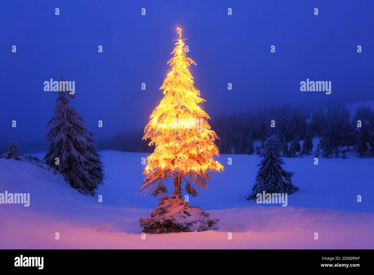 Sfondo di Natale. Albero di Natale decorato con coloratissimi garlands si erge sul prato innevato. Notte inverno paesaggi di montagna. Foto Stock