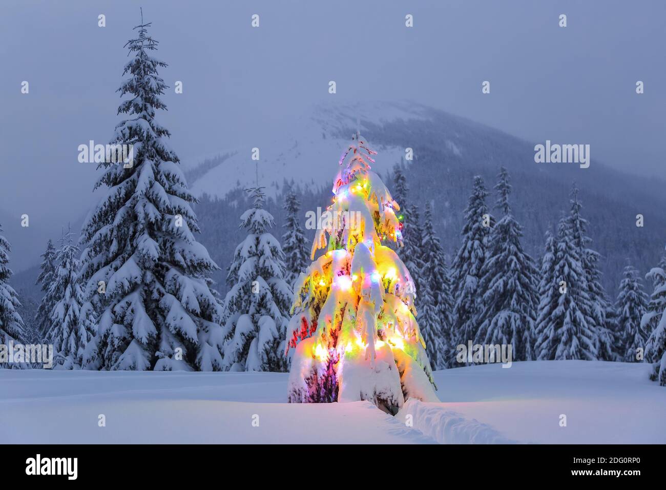 L'albero di Natale decorato con coloratissime ghirlande si erge sul prato innevato. Notte inverno paesaggi di montagna. Foto Stock