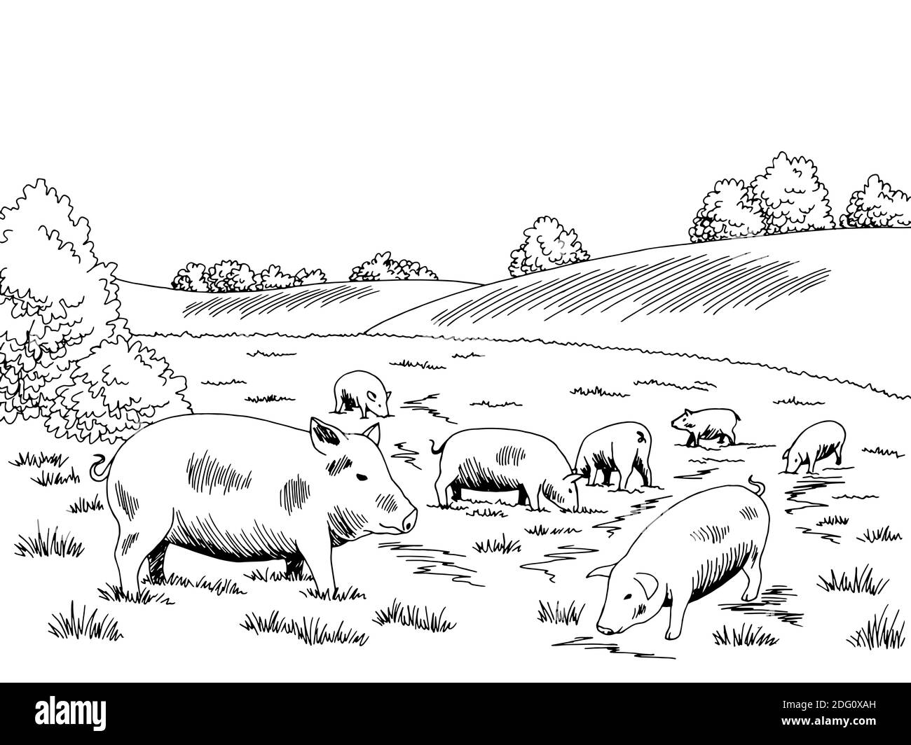 Maiali che alimentano l'erba sulla collina grafico bianco nero schizzo vettore di illustrazione Illustrazione Vettoriale