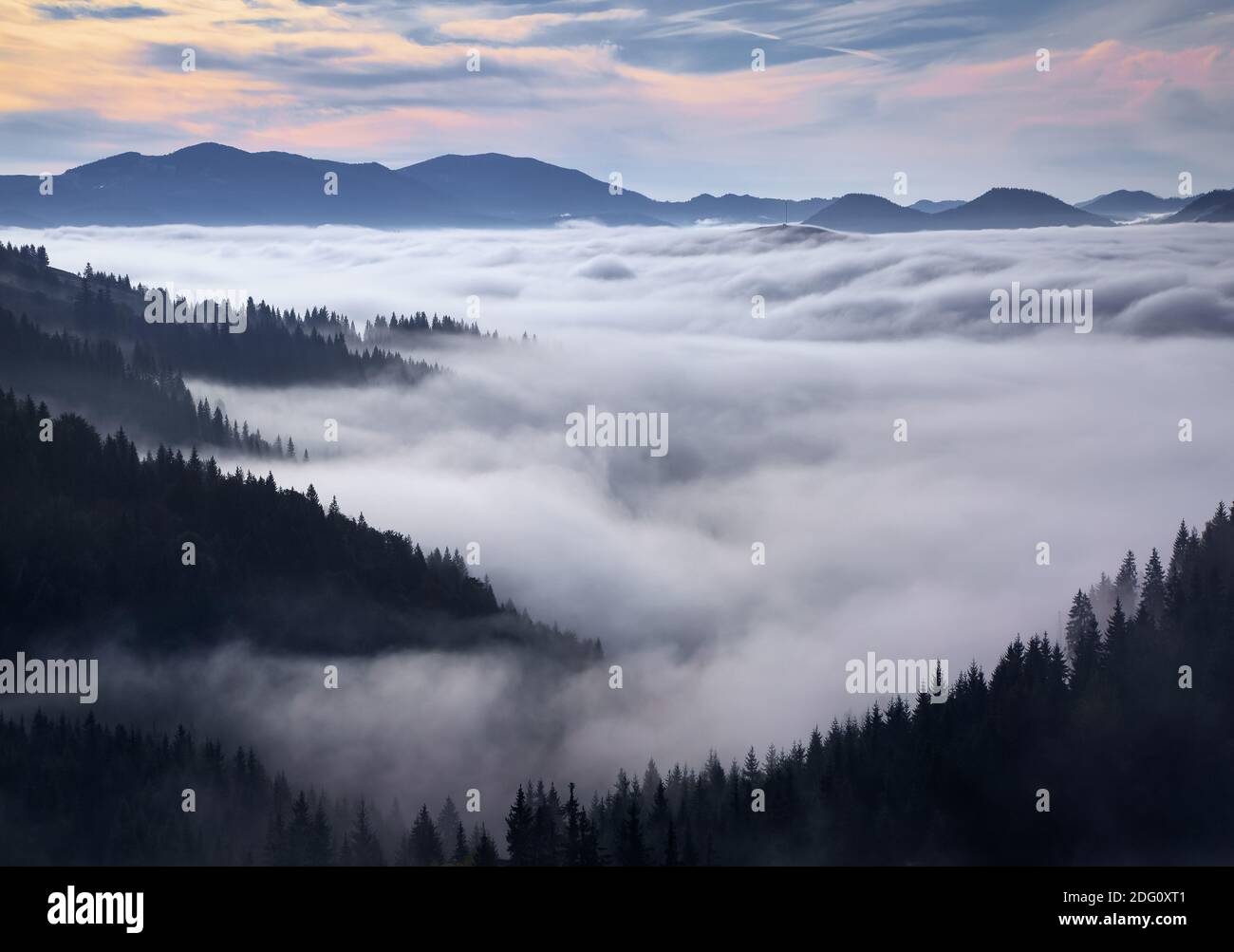 Mattina foggy. Alba. Paesaggio con alte montagne. Foresta dei pini. La nebbia di mattina presto. Luogo turistico. Paesaggio naturale. Foto Stock