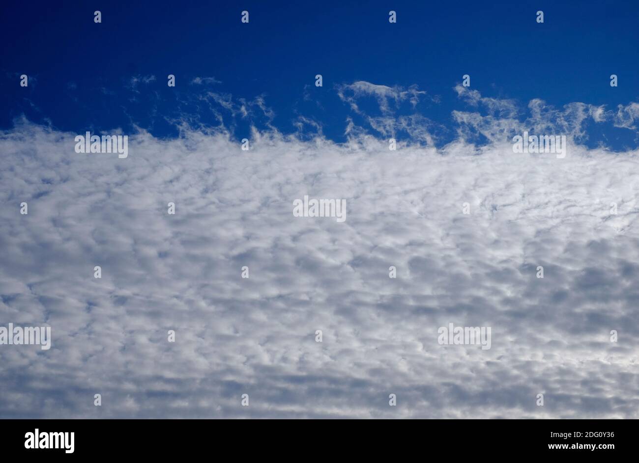 banca di bianca nuvola bianca su sfondo blu cielo, norfolk, inghilterra Foto Stock