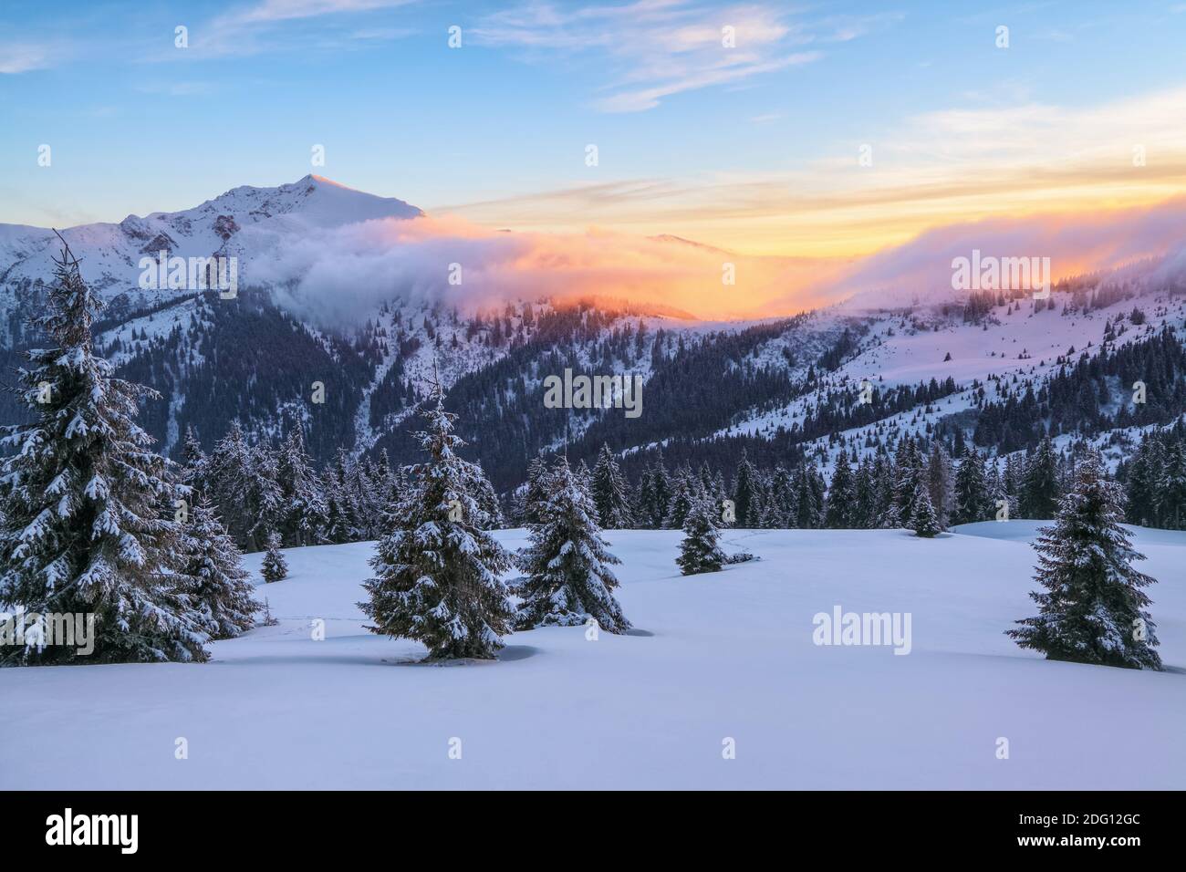 Incredibile alba. Foresta invernale. Una vista panoramica sul coperto con alberi di gelo nelle rondini di neve. Alte montagne con picchi bianchi di neve. Terra naturale Foto Stock