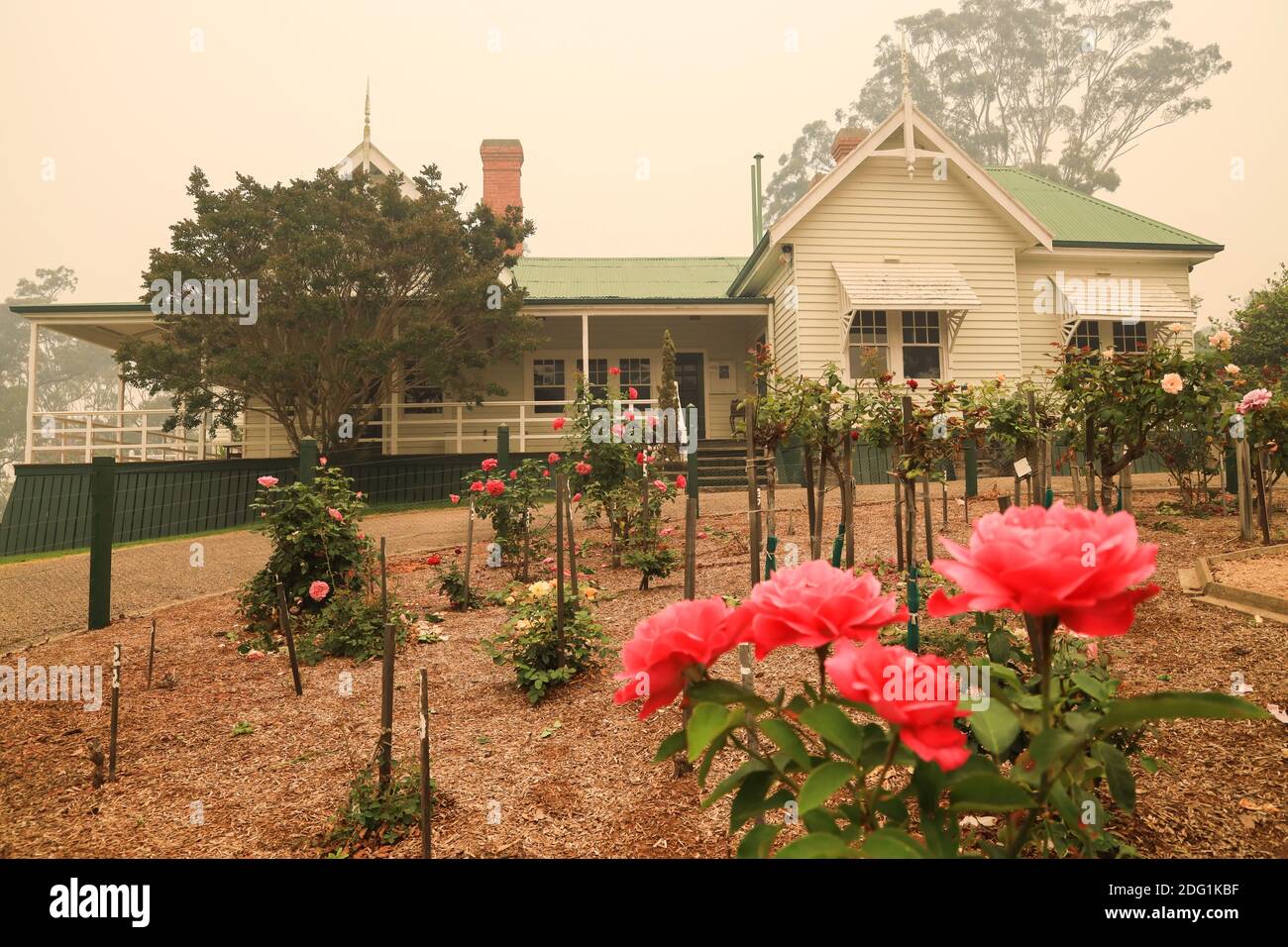 Rose Garden e Nyerimilang Homestead avvolta nel fumo durante i fuochi d'incendio in East Gippsland, Victoria, Australia Foto Stock