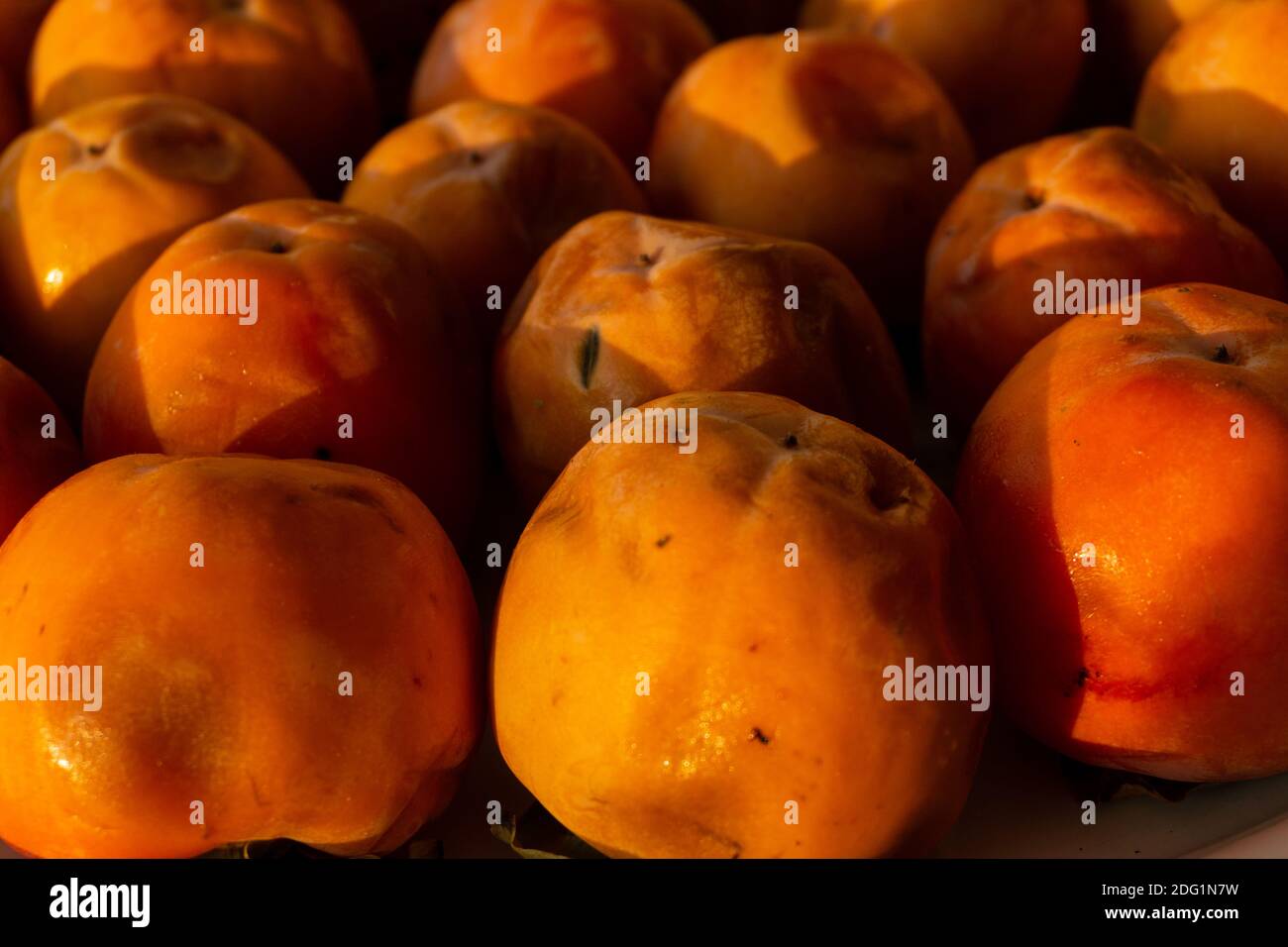 frutta di palma paradise che aspetta per maturare Foto Stock