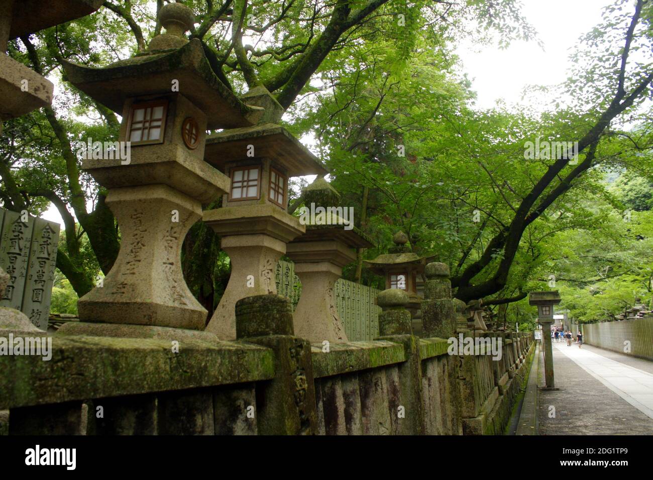 Tempio giapponese lanterne Foto Stock