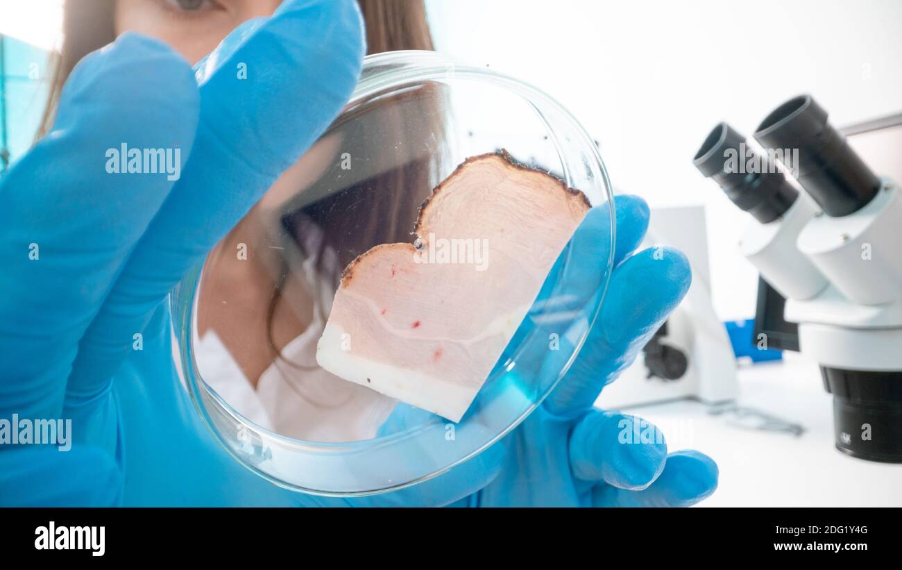 Controllo della qualità delle carni e dei pesci nel laboratorio di qualità alimentare Foto Stock