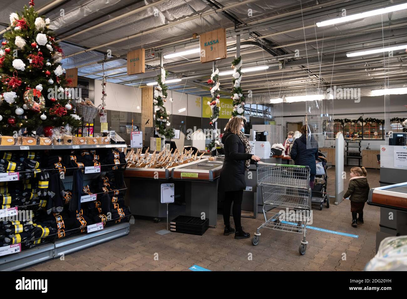 All'interno di un centro giardino presso i registratori di cassa con carrelli per lo shopping, personale e clienti con mascherina con Natale nei Paesi Bassi Foto Stock