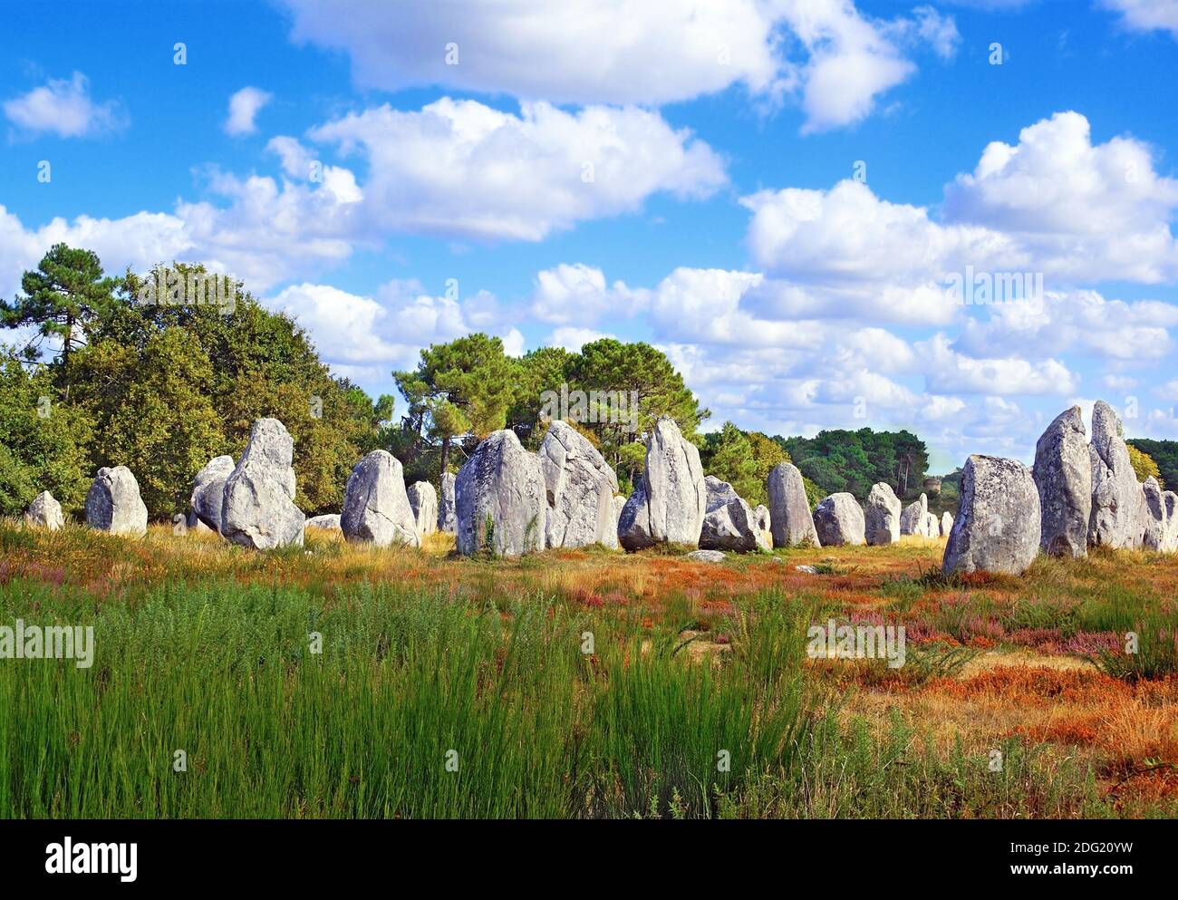 Allineamenti di megaliti a Carnac in Bretagna, Francia. Foto Stock