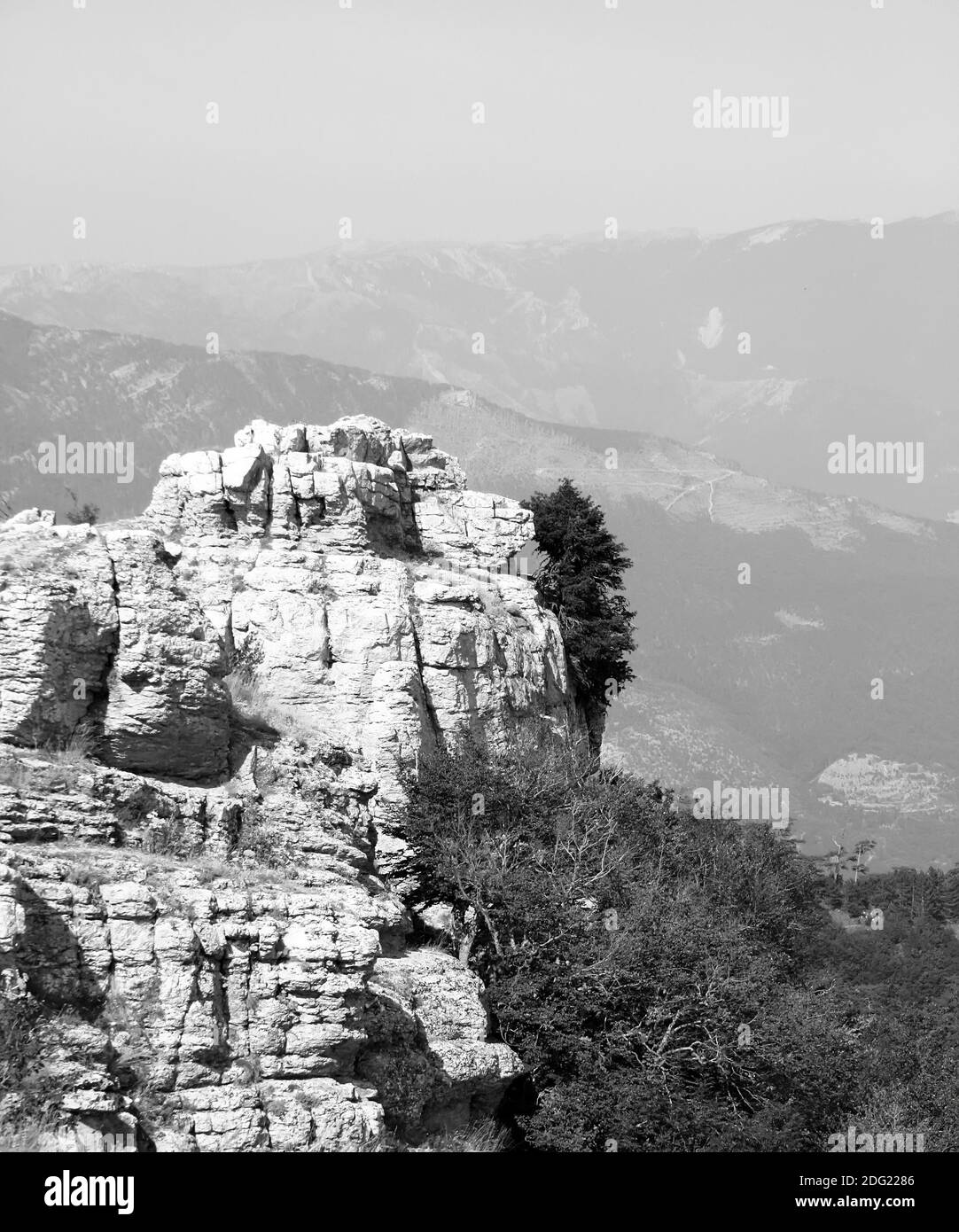 Cima della montagna con il verde bosco sopra Foto Stock