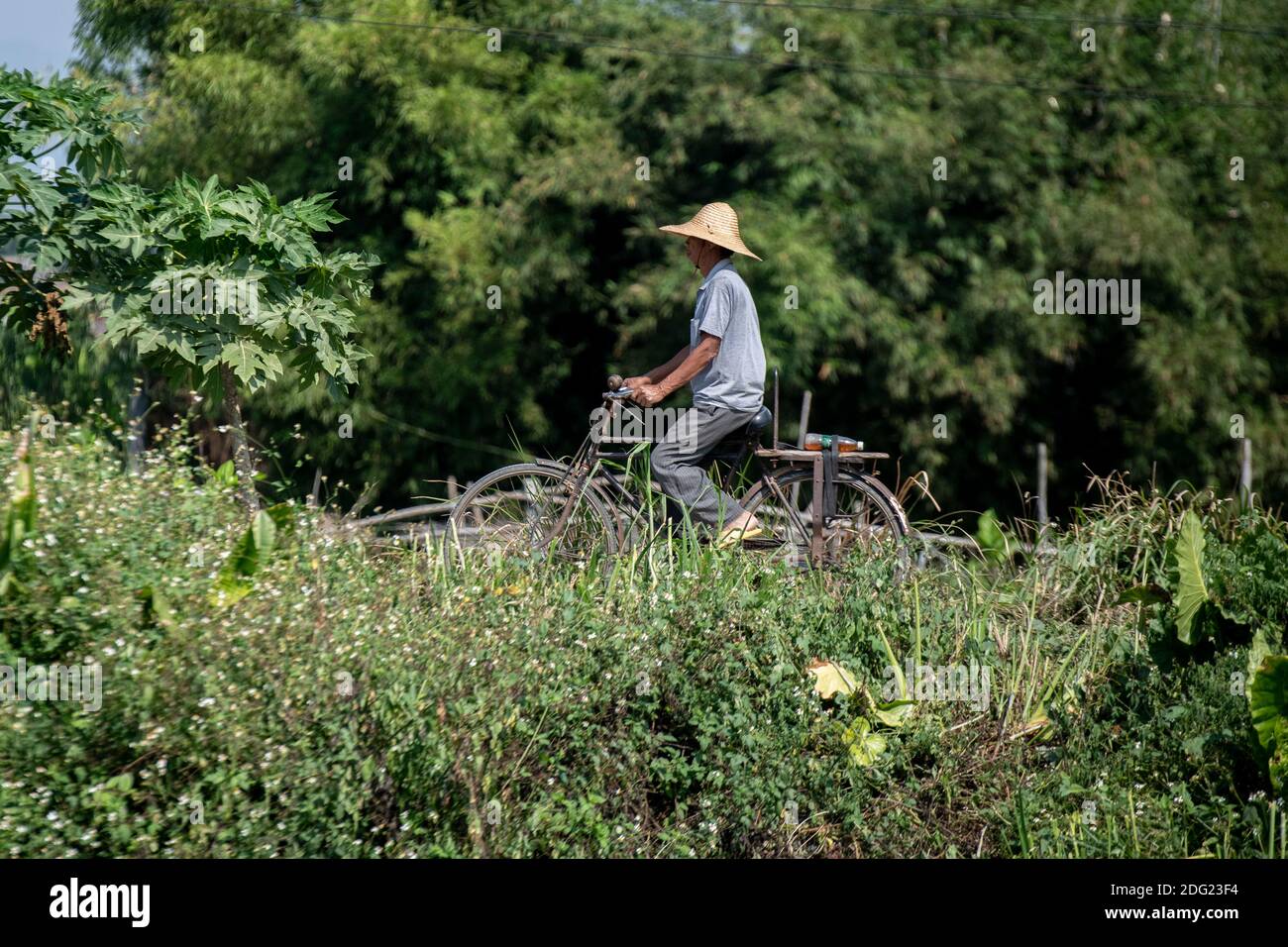 Un coltivatore cinese in un cappello di paglia tradizionale cicli sopra Un ponte nella Cina rurale Foto Stock