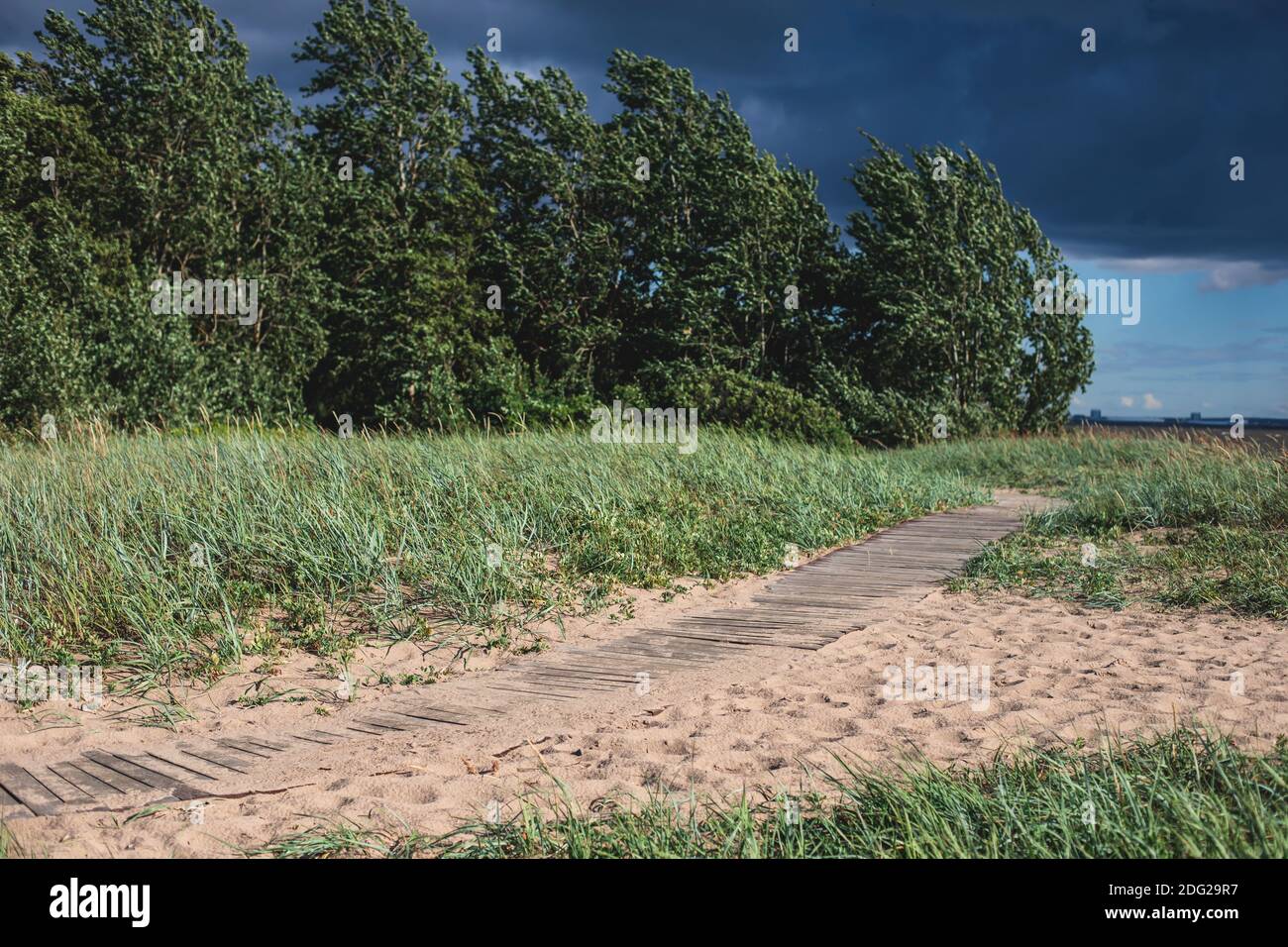 Estate aerea vibrante vista della riserva naturale dello stato di Kotlin Ovest, percorso ecologico con torre di osservazione degli uccelli, isola di Kotlin, Kronstadt, Saint-Peterb Foto Stock