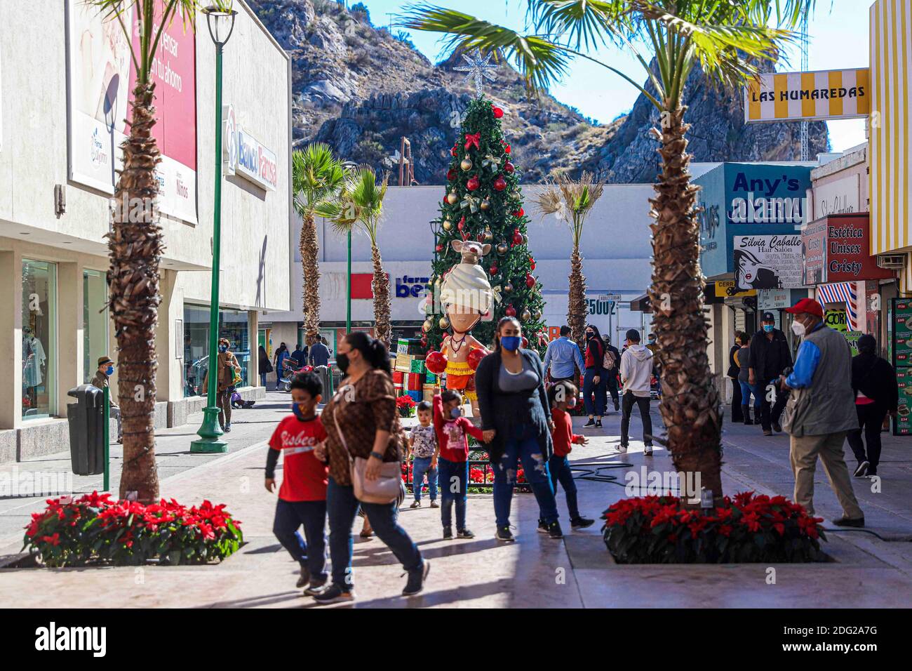 Bambini e adulti scattano foto del nuovo albero di Natale, della buona notte e della figura del ballerino Yaqui, della danza dei cervi nel passaggio del centro di Hermosillo, Messico 2020 dicembre. © (Foto di Luis Gutierrez / Norte Foto) Niños y adultos se oman fotos el nuevo arbol de la Navidad, noche buenas y la figurura del danzante yaqui , danza del venado en el andador del centro de Hermosillo, Messico diciembre 2020. © (foto di Luis Gutierrez/Norte foto) Foto Stock