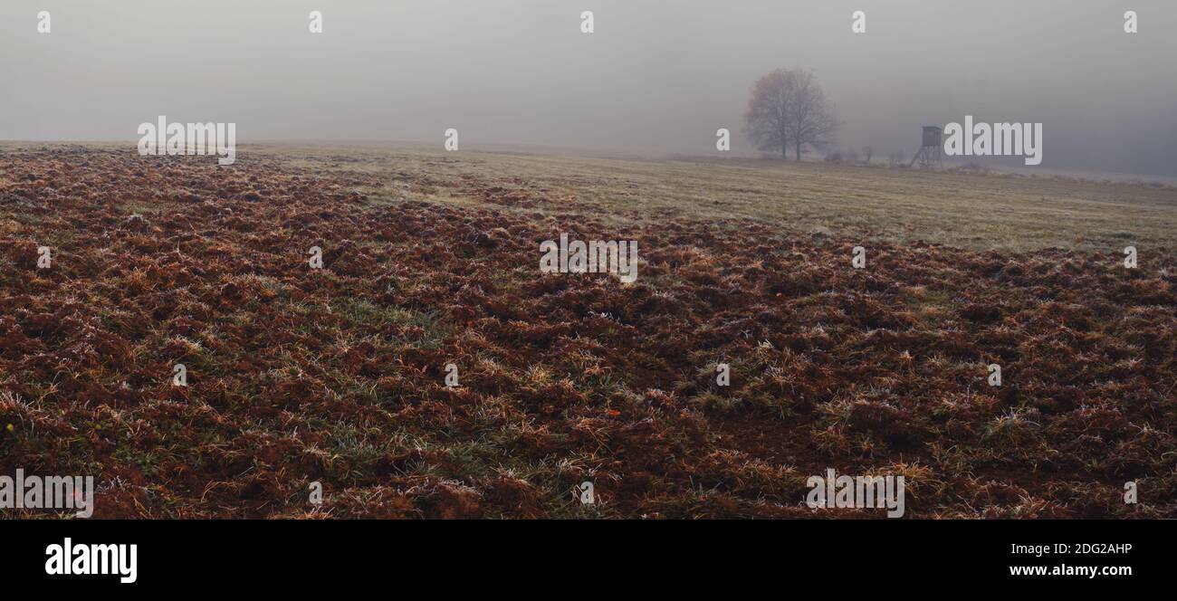 paesaggio autunnale nella nebbia, campo, cieca di caccia, alberi, campo arato da cinghiali Foto Stock