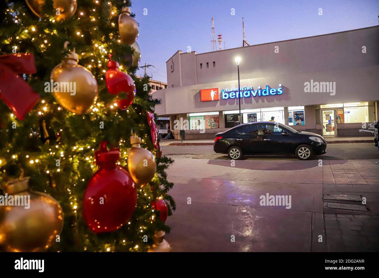 Bambini e adulti scattano foto del nuovo albero di Natale nel centro di Hermosillo, Messico. diciembre 2020. © (Foto di Luis Gutierrez/Norte Foto) Niños y adultos se oman fotos el nuevo arbol de la Navidad en el centro de Hermosillo, Messico Foto Stock