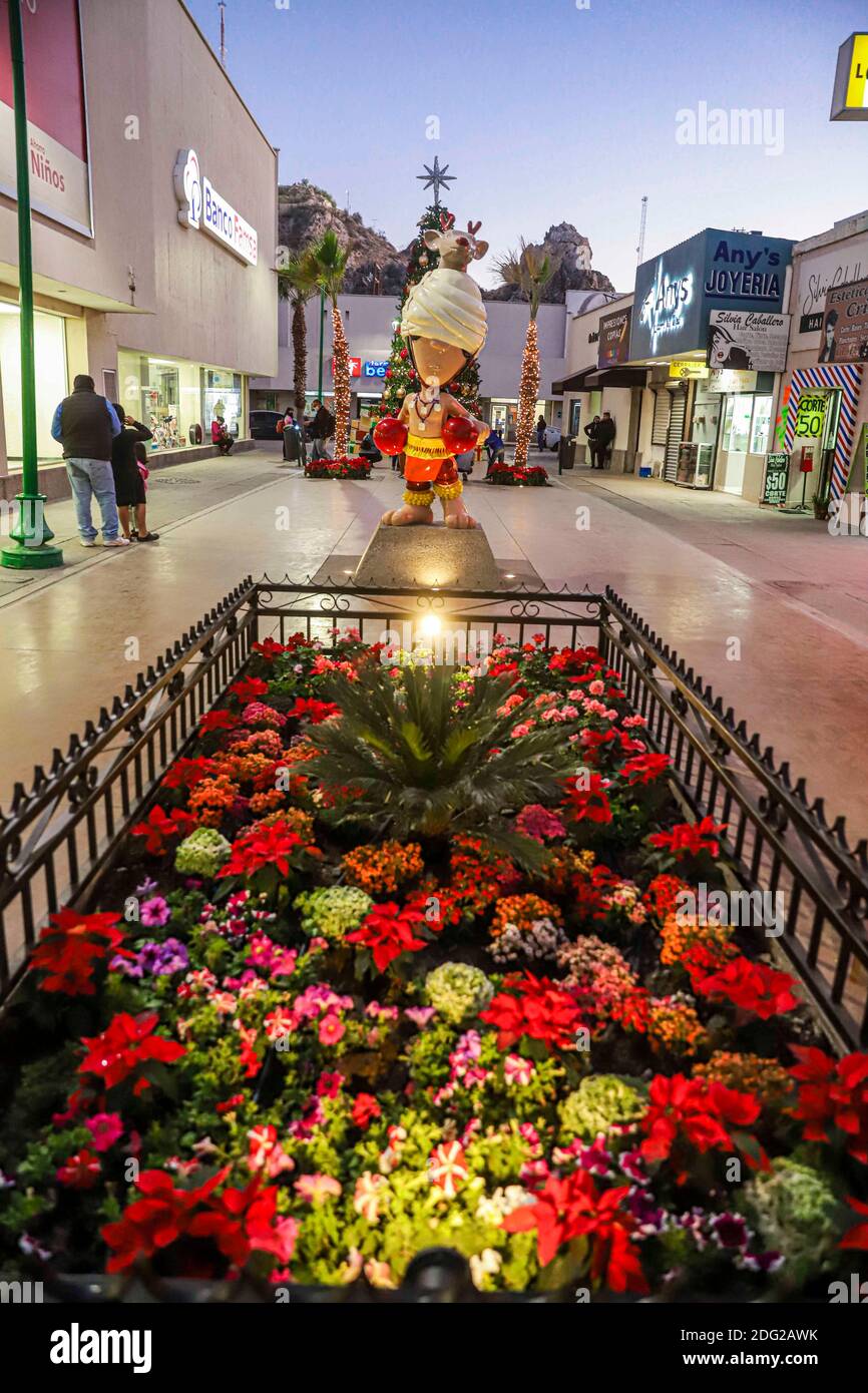 Bambini e adulti scattano foto del nuovo albero di Natale, della buona notte e della figura del ballerino Yaqui, della danza dei cervi nel passaggio del centro di Hermosillo, Messico 2020 dicembre. © (Foto di Luis Gutierrez / Norte Foto) Niños y adultos se oman fotos el nuevo arbol de la Navidad, noche buenas y la figurura del danzante yaqui , danza del venado en el andador del centro de Hermosillo, Messico diciembre 2020. © (foto di Luis Gutierrez/Norte foto) Foto Stock