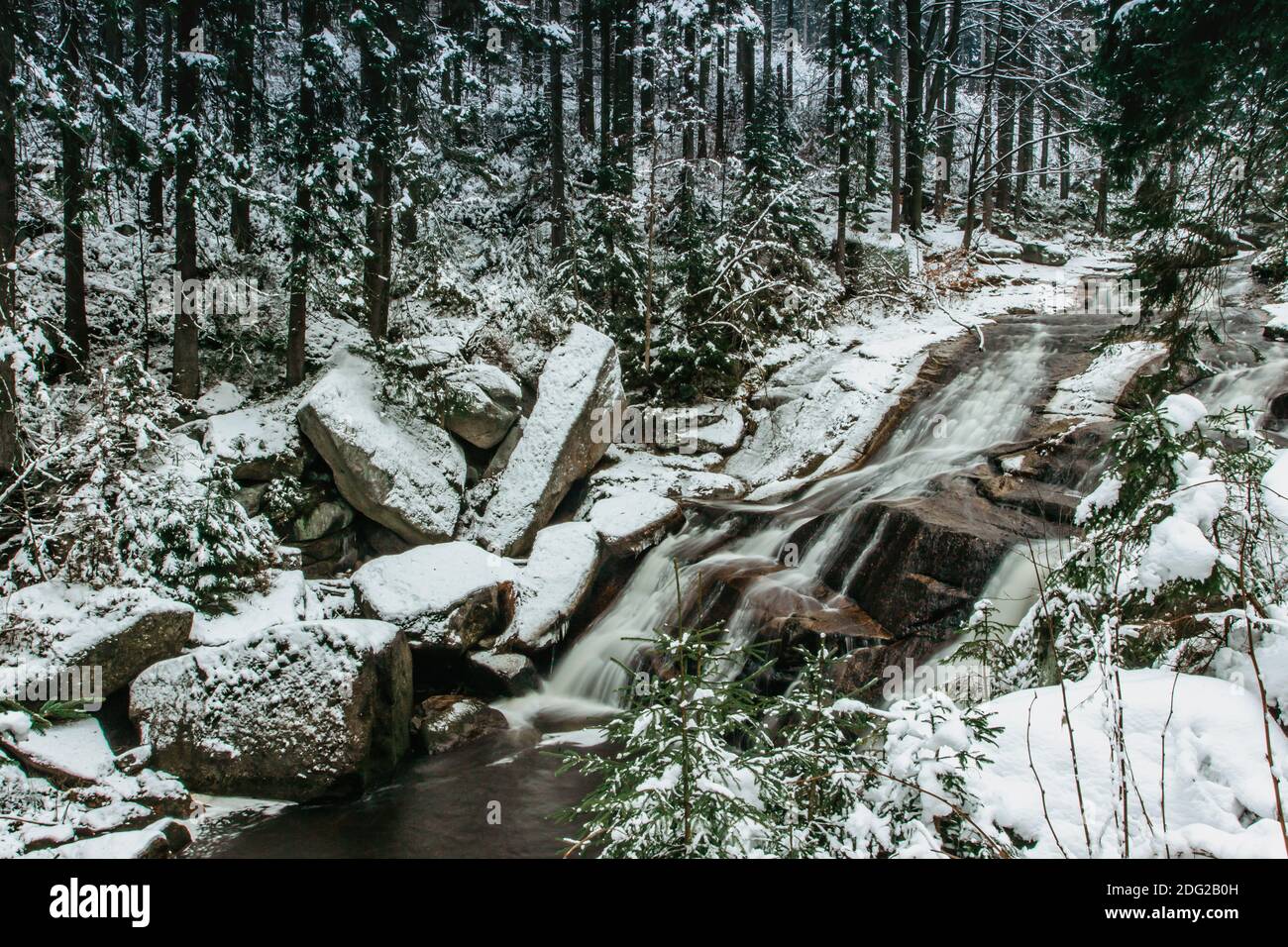 Il gruppo di cascate e cascate sul fiume Cerna Desna, vicino al lago artificiale di Sous, montagne di Jizera, Repubblica Ceca.Long esposizione Water.Fresh Foto Stock