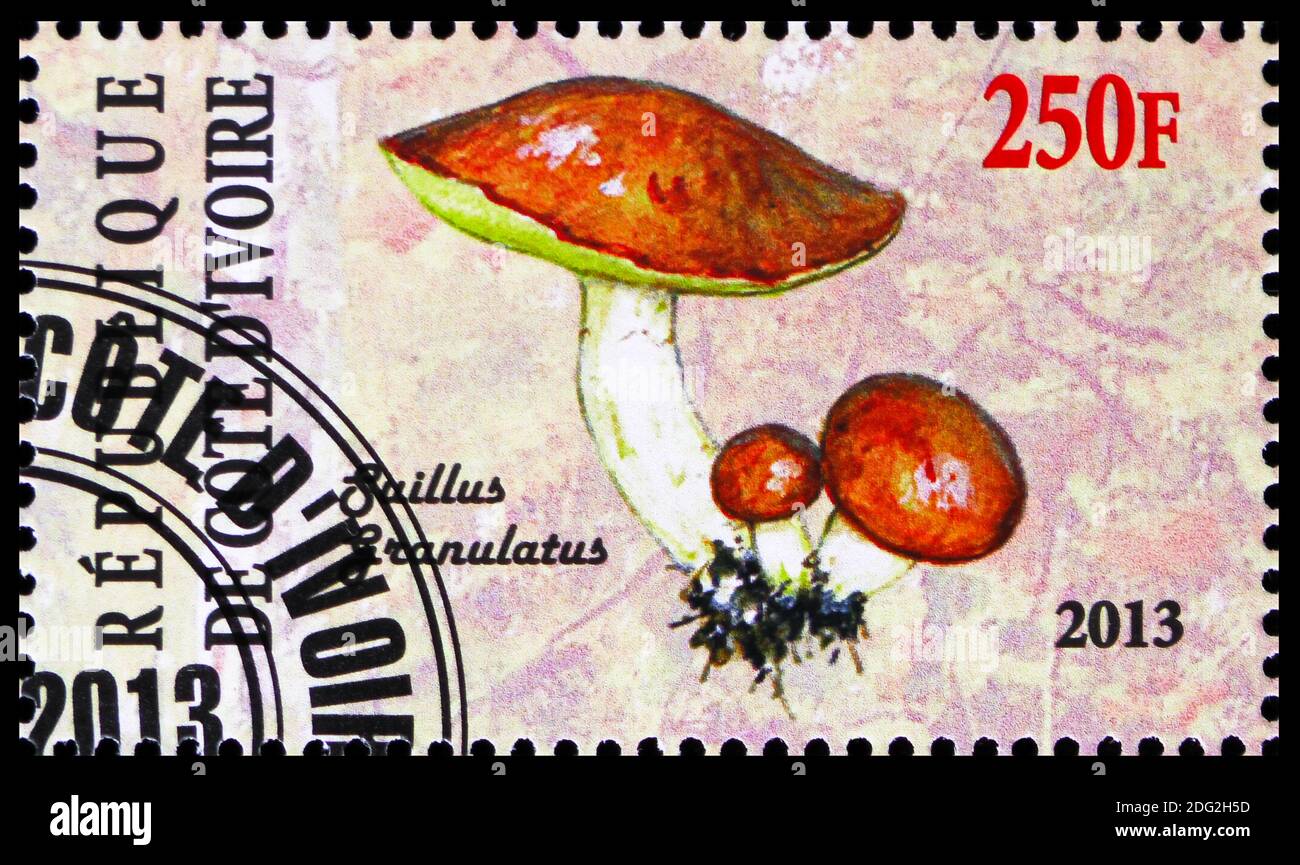 MOSCA, RUSSIA - 21 OTTOBRE 2018: Un francobollo stampato in Costa d'Avorio mostra Suillus granulatus, Mushrooms serie, circa 2013 Foto Stock