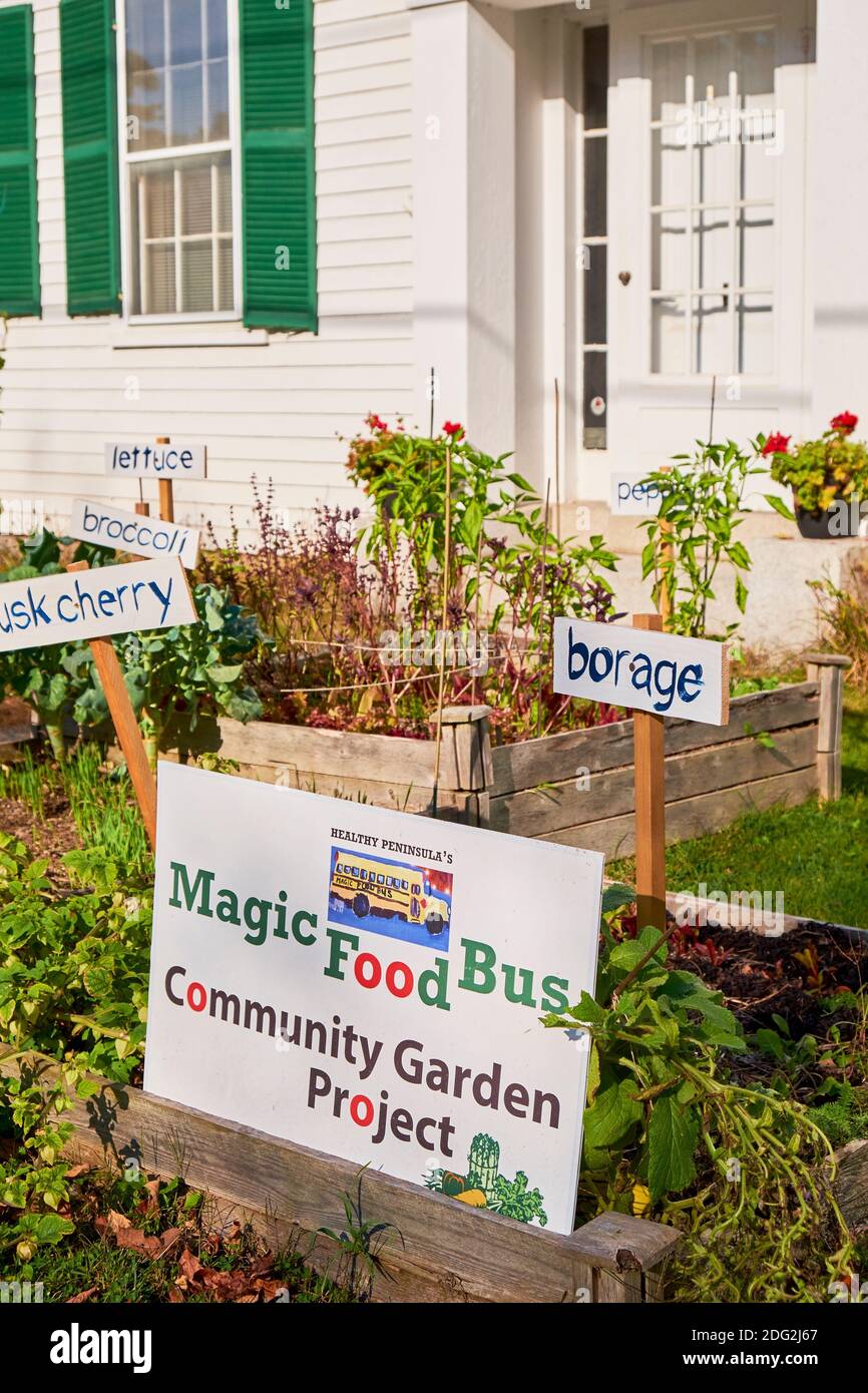 Un orto a letto rialzato per un progetto comunitario. Con etichette per borragine, broccoli. In un cortile di fronte a Blue Hill, Maine. Foto Stock