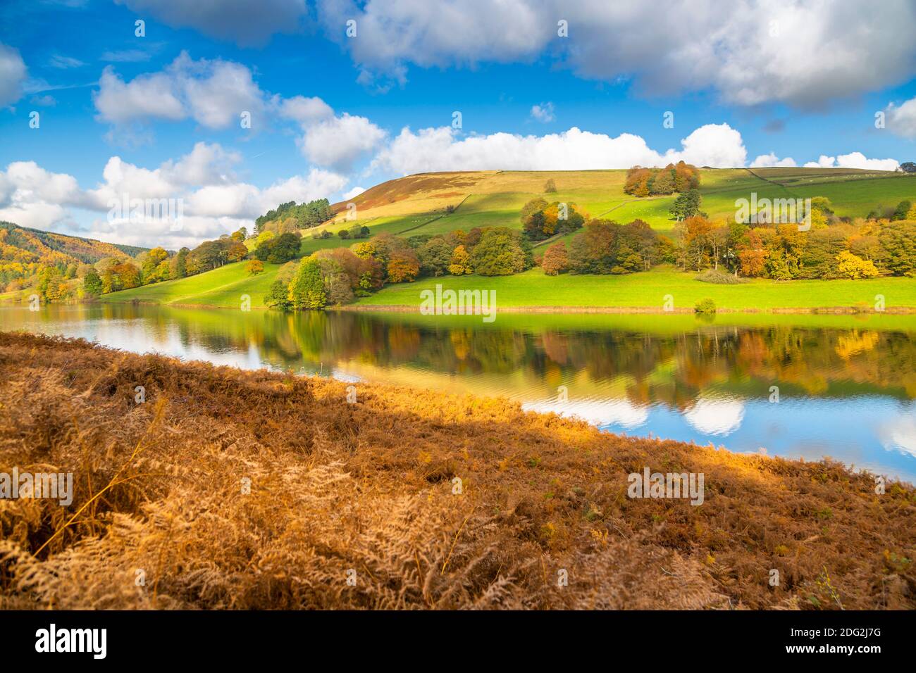 Vista dei colori autunnali a serbatoio Ladybower, Derbyshire, Parco Nazionale di Peak District, England, Regno Unito, Europa Foto Stock