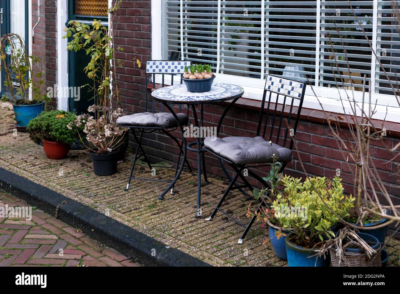Mobili da giardino su portico di casa con piante da esterno. Piante esterne domestiche. Giardino paesaggistico in città. Geocyint in una pentola sul tavolino da caffè. Luogo Foto Stock