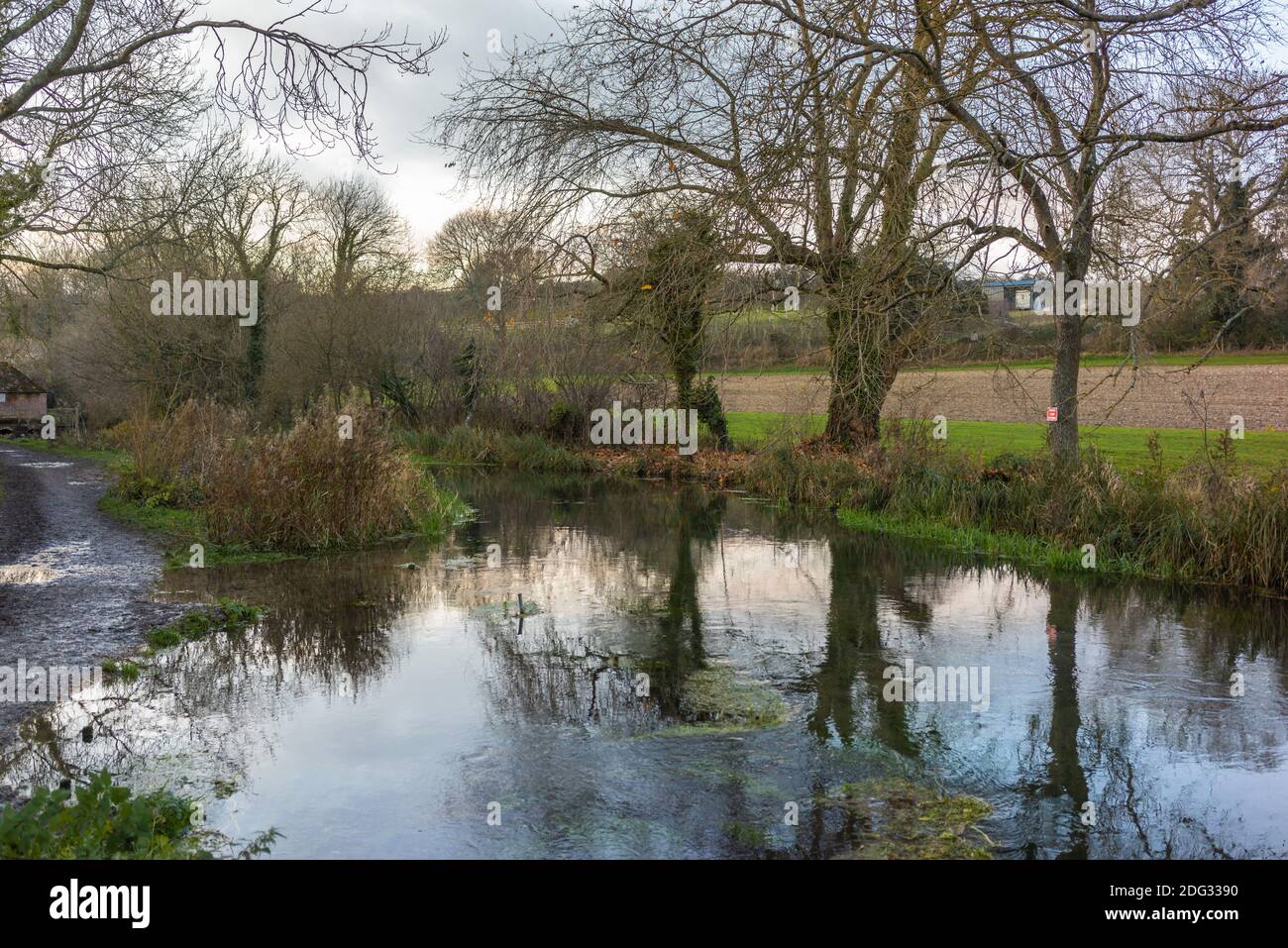 Il fiume Alre lungo l'Alre Valley Trail nella campagna che circonda New Alresford, Hampshire, Inghilterra, Regno Unito Foto Stock