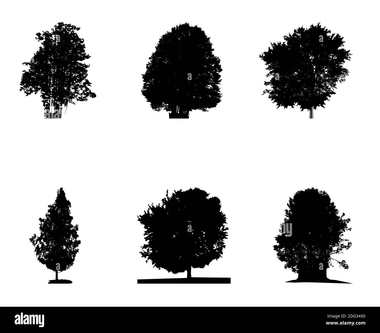 Set di silhouette bianche e nere di albero deciduo, i cui rami si sviluppano nel vento. Illustrazione. Foto Stock