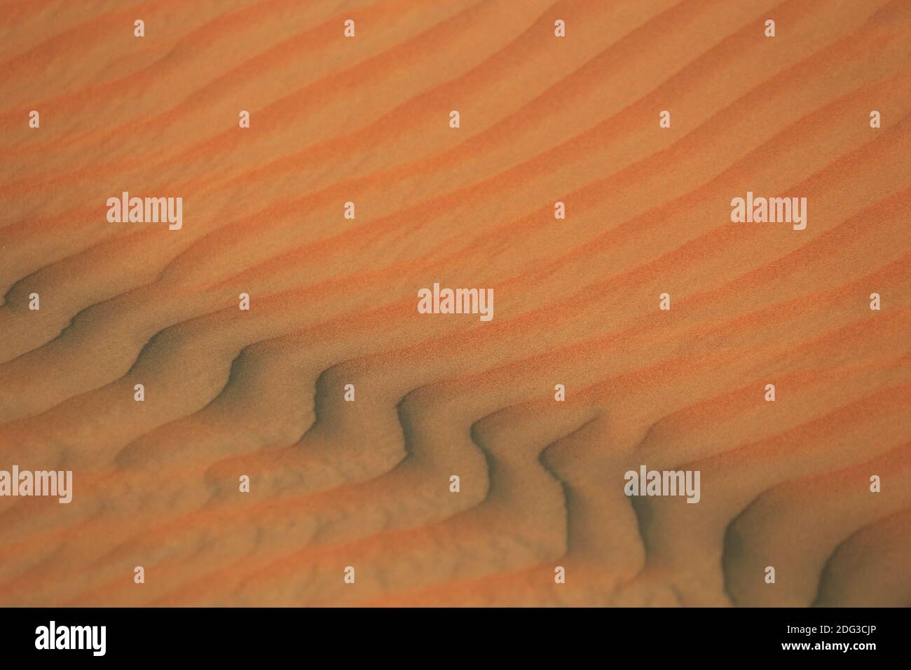 WÃ¼ste Rub al Chali (Rub al Khali) Foto Stock